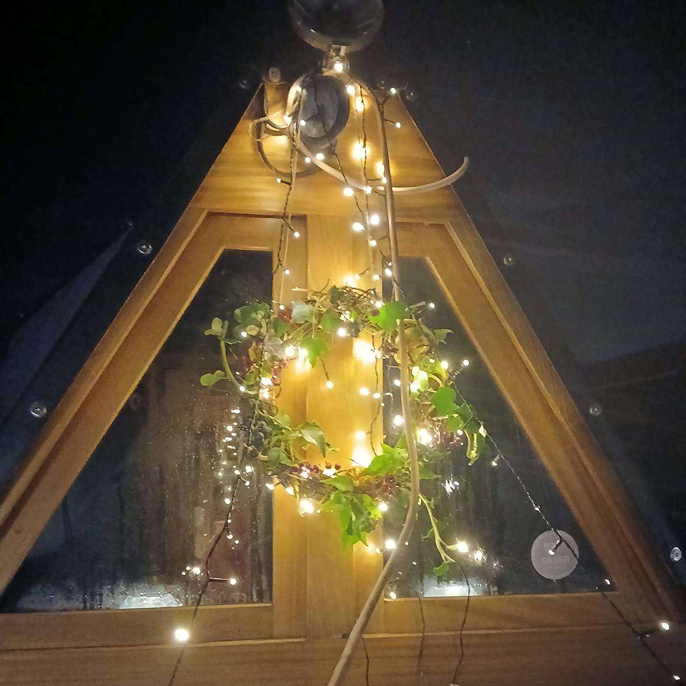 The Remarkable Tale of Bertrum Crane (A story for Christmas)