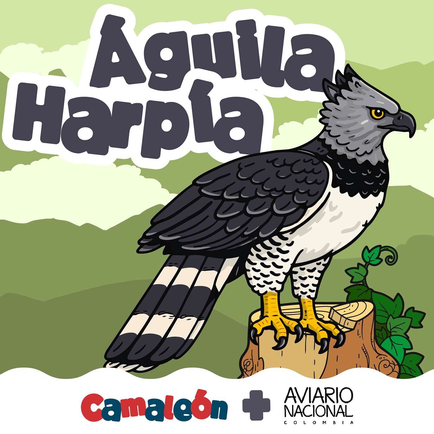 Águila Harpía: Fuerza en lo más alto episode artwork