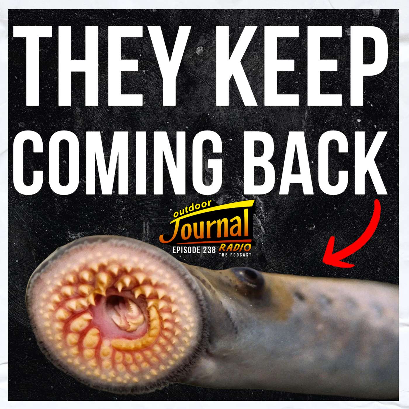 Episode 238: Why Sea Lamprey Keep Coming Back (FISH TALK W/ THE DOC) episode artwork