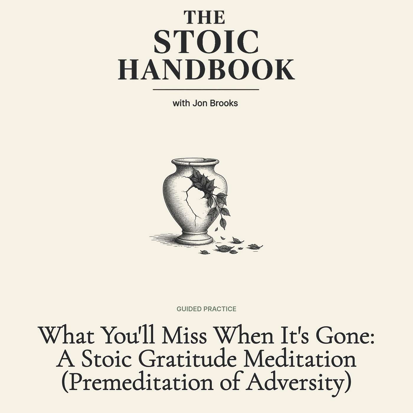 What You'll Miss When It's Gone: A Stoic Gratitude Meditation (Premeditation of Adversity) episode artwork