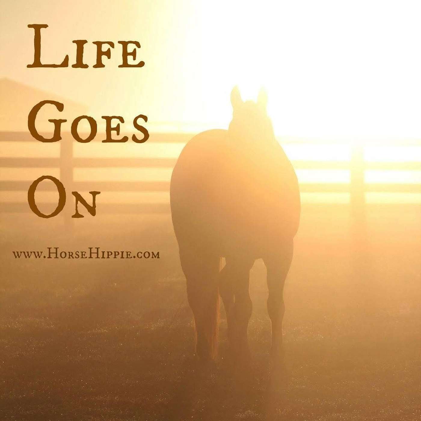 Life Goes On
