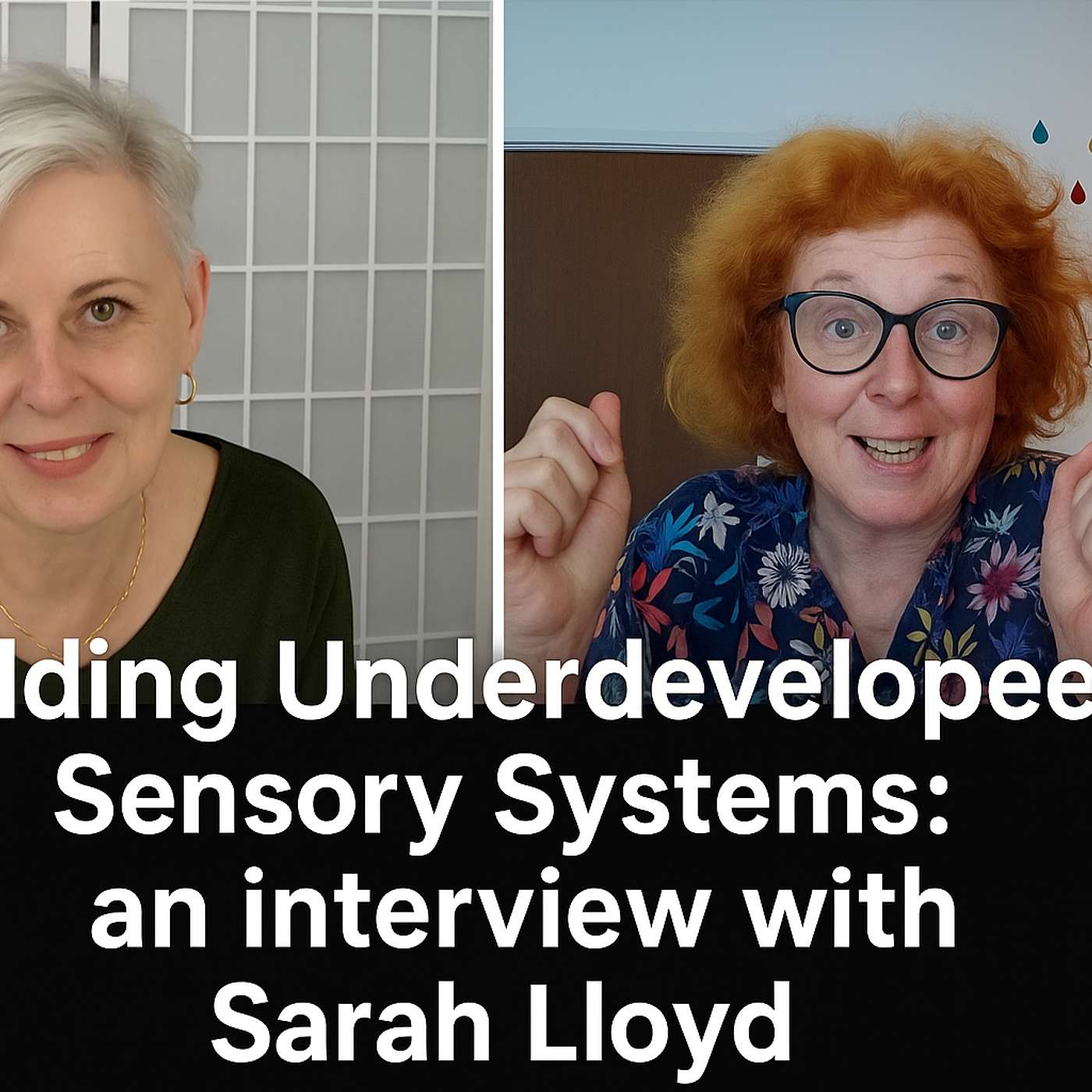 EP37 Building Underdeveloped Sensory Systems an interview with Sarah Lloyd