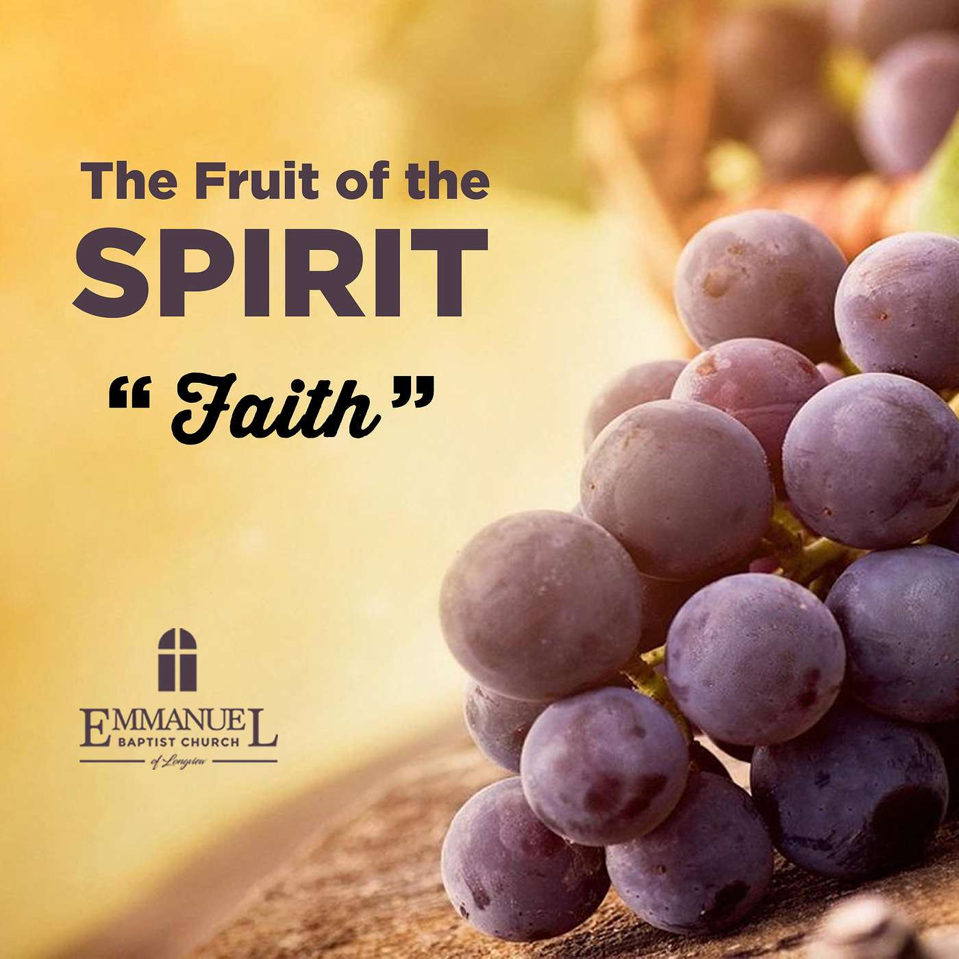 The Fruit of the Spirit - Faith - Wednesday Bible Study 03/23/2022 - Pastor Bob Gray II episode artwork