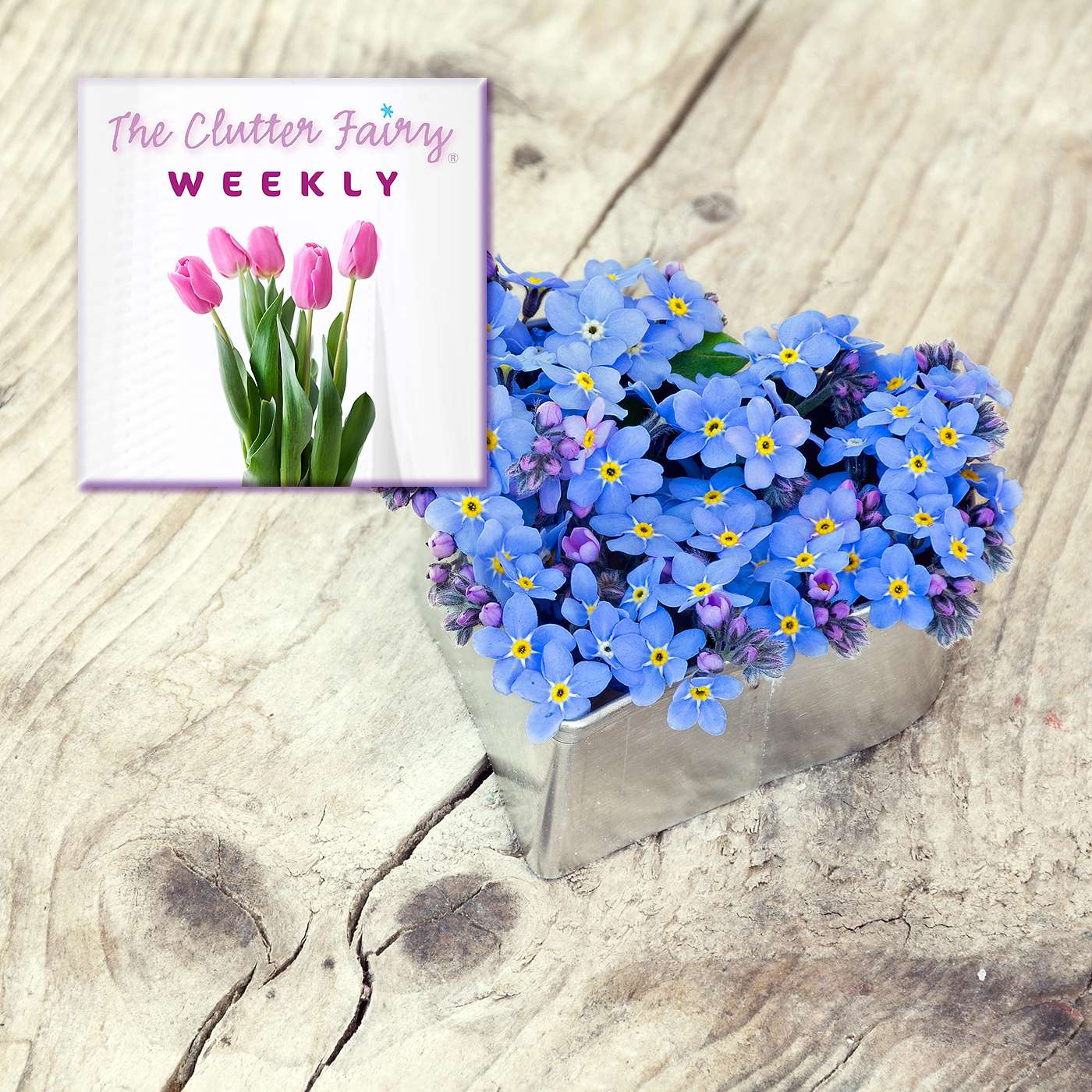 The Clutter Fairy Weekly