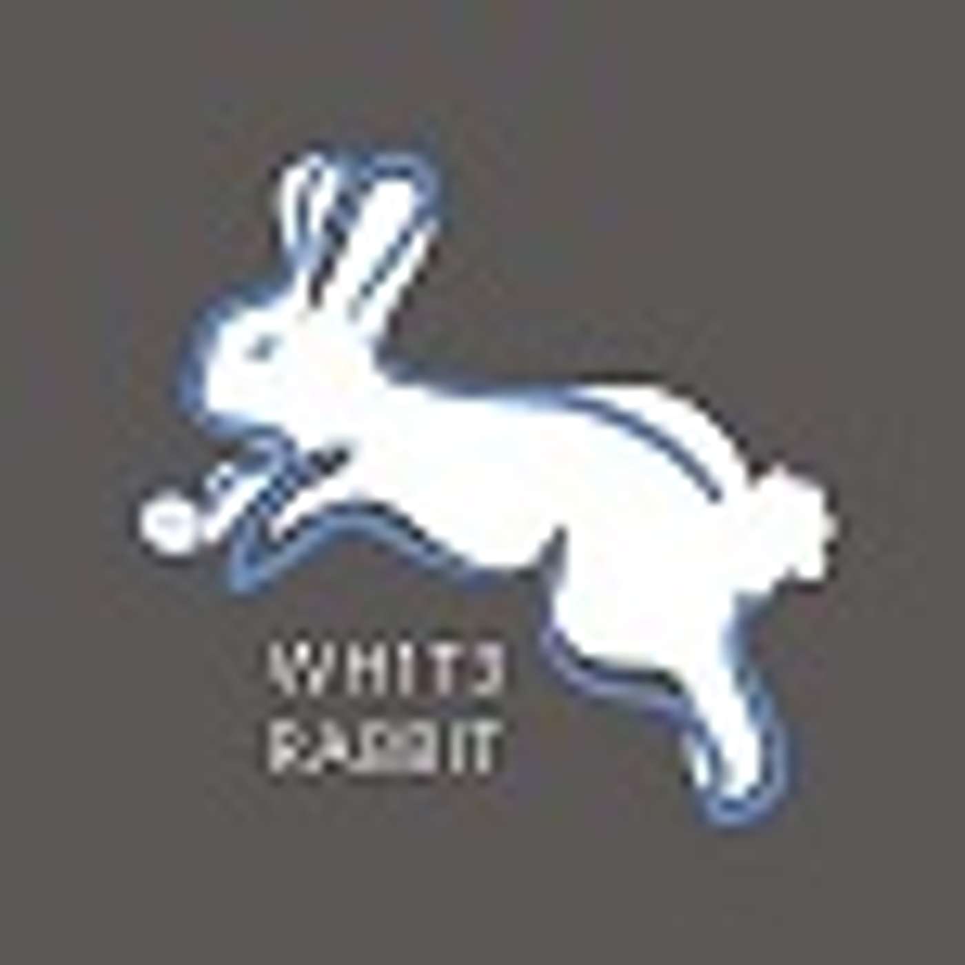 Down the Security Rabbithole Podcast (DtSR)