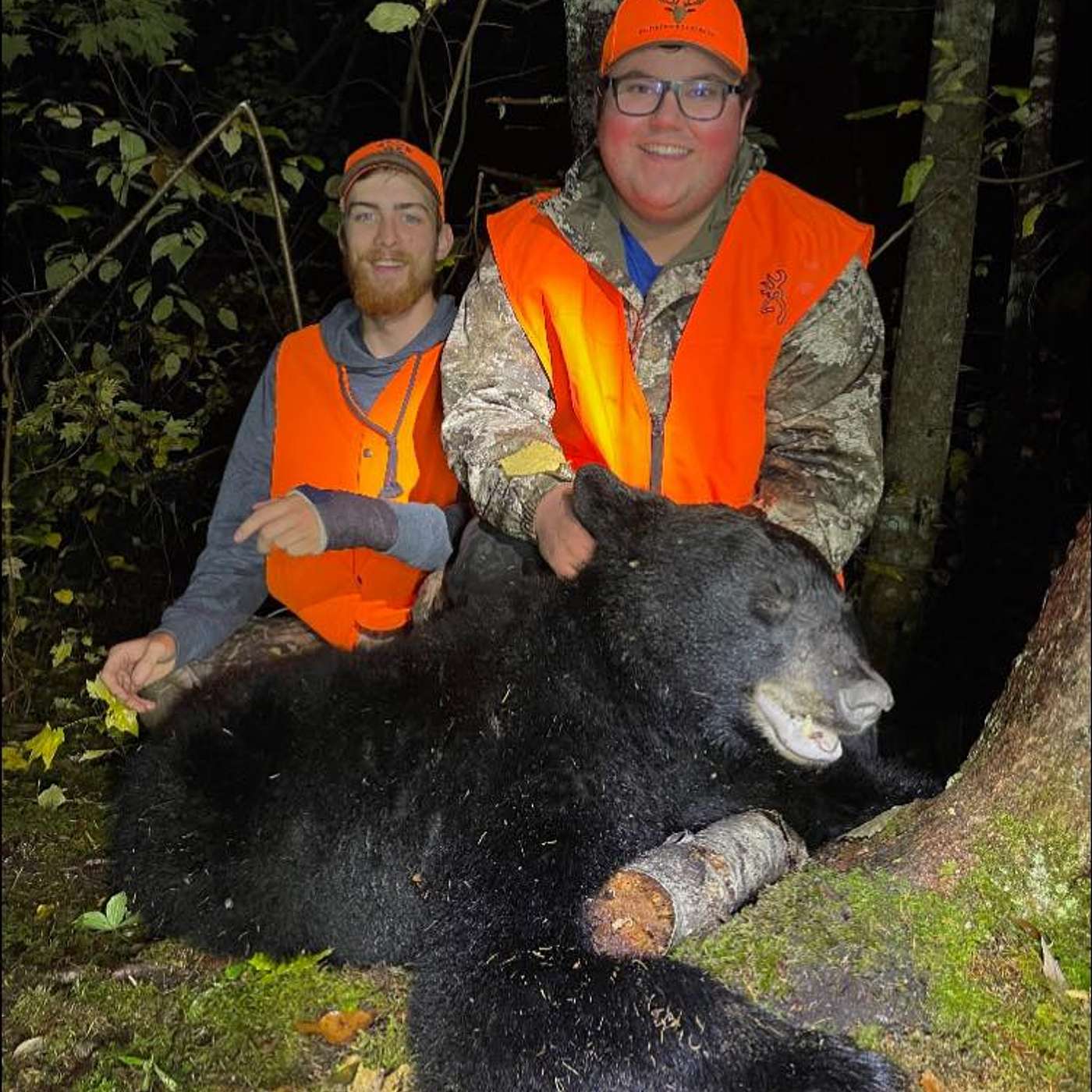New Brunswick Bear Hunt In An Open Field with 12 Bear!! episode artwork