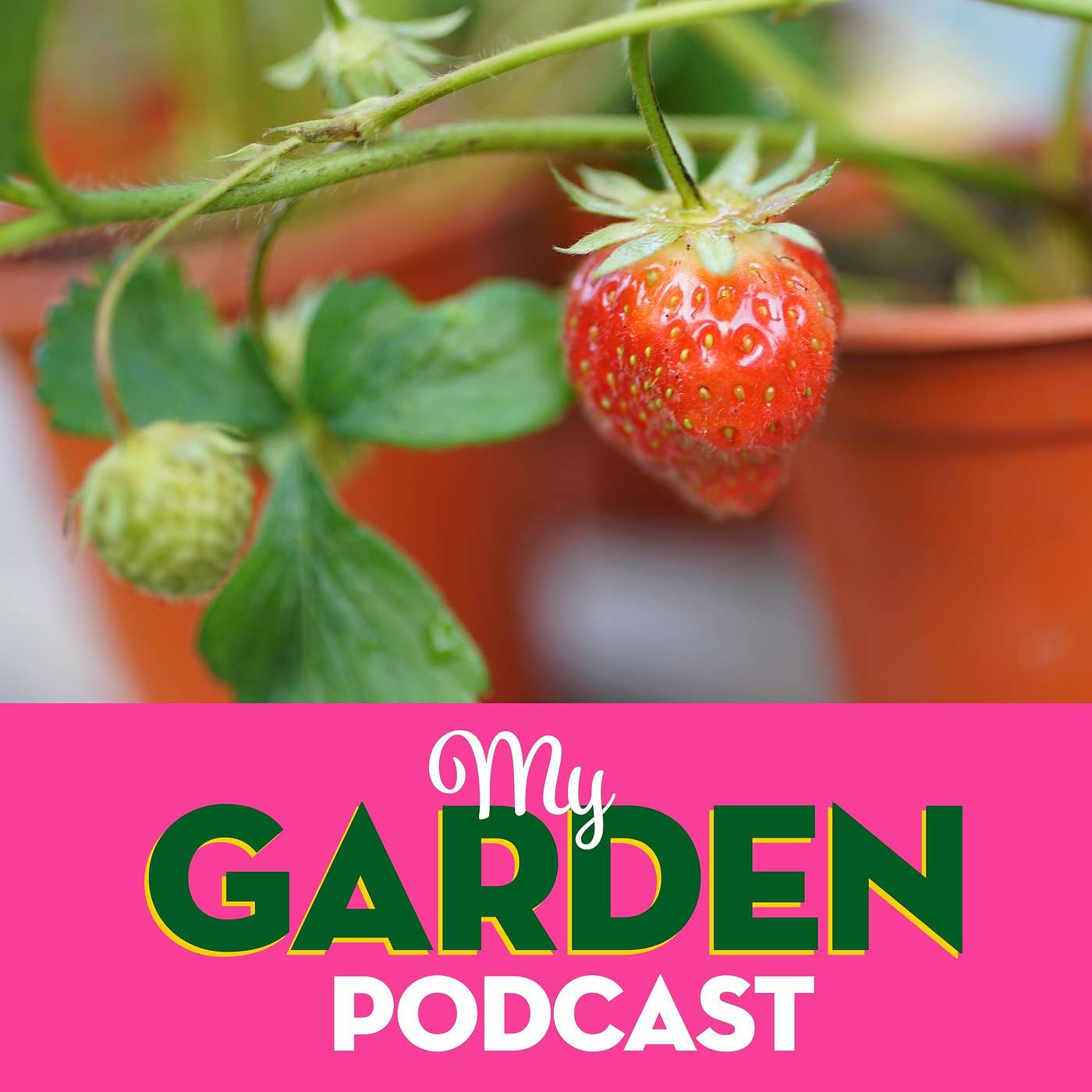My Garden Podcast - Gardening Podcast
