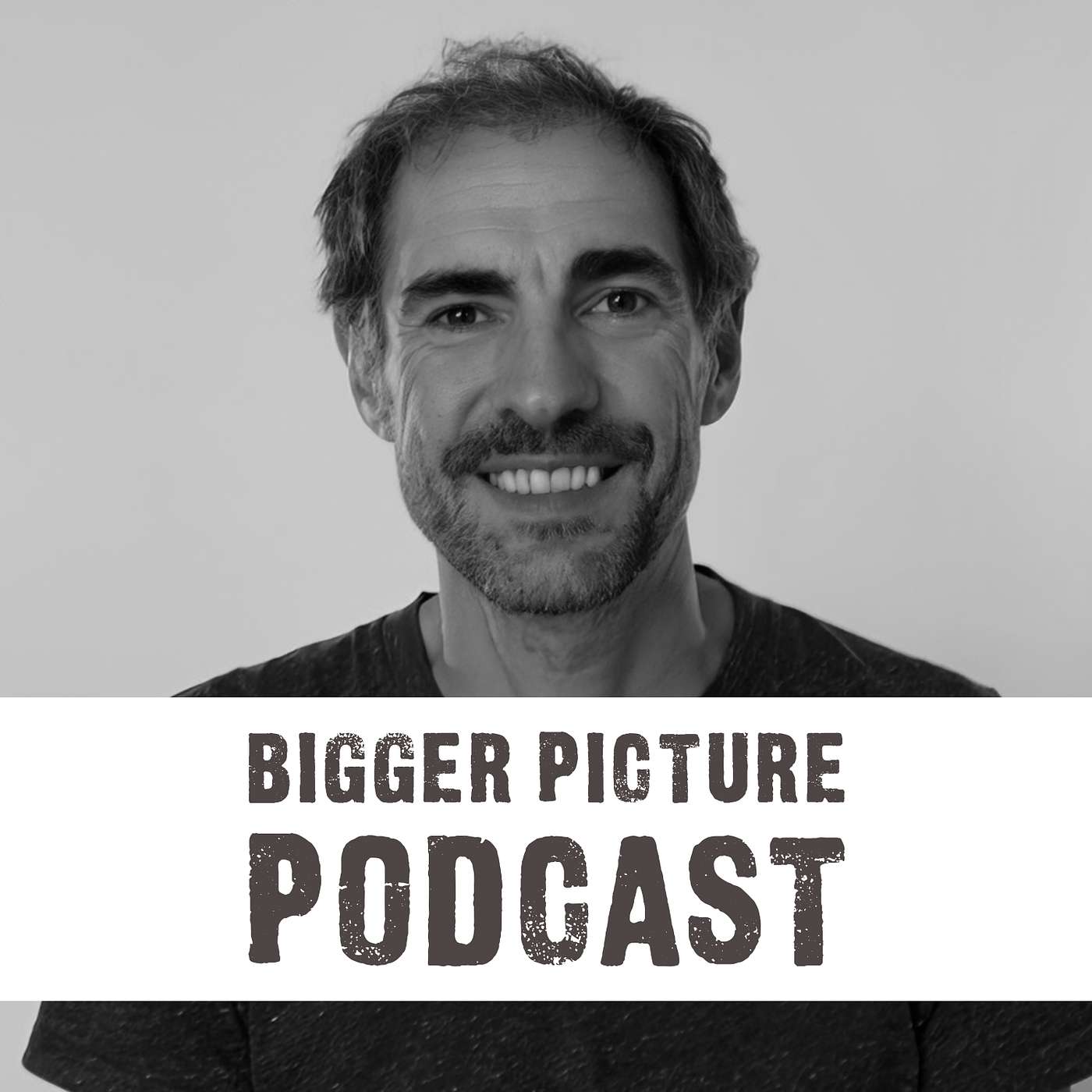 De Bigger Picture Podcast