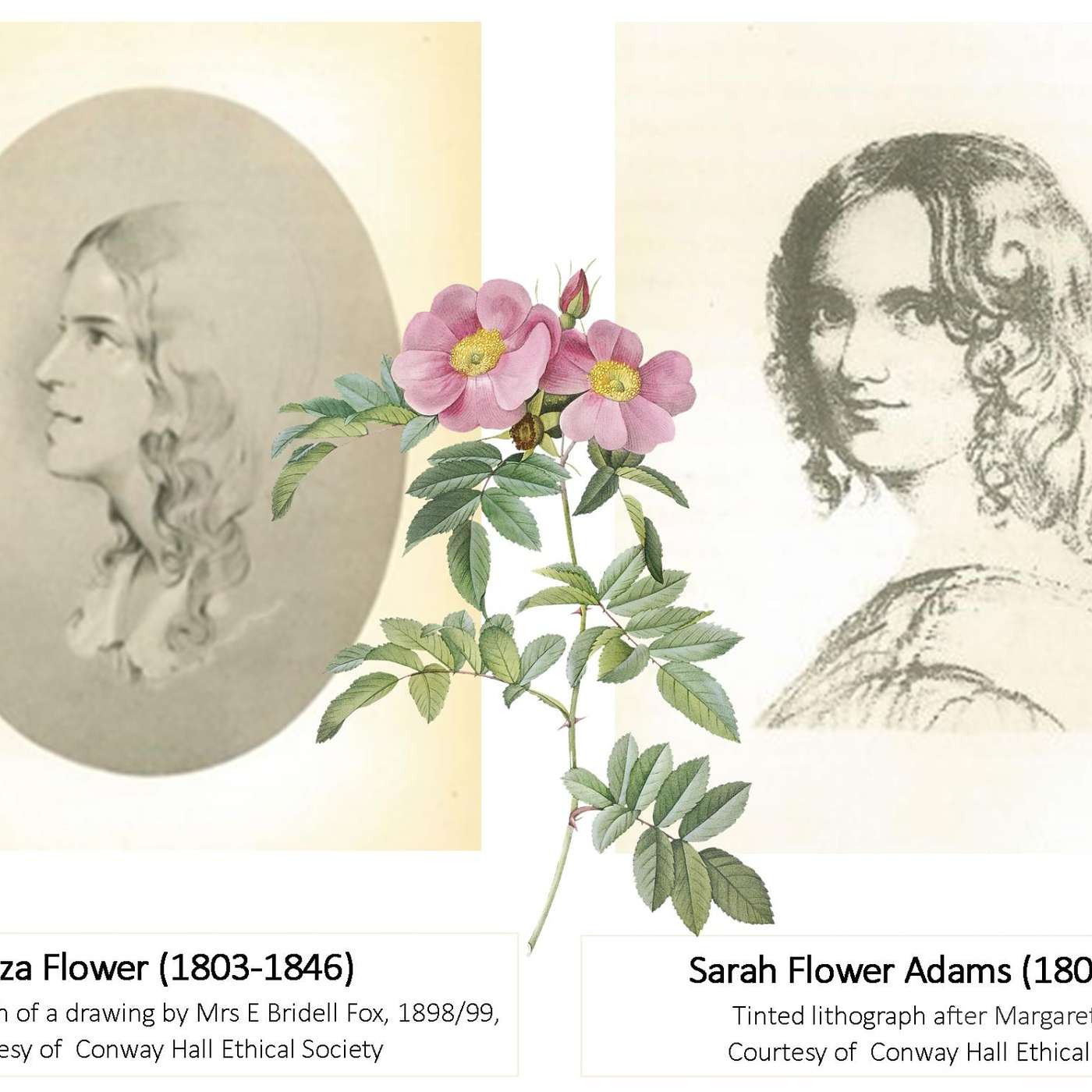 Women of Science & Music: 30 celebrations