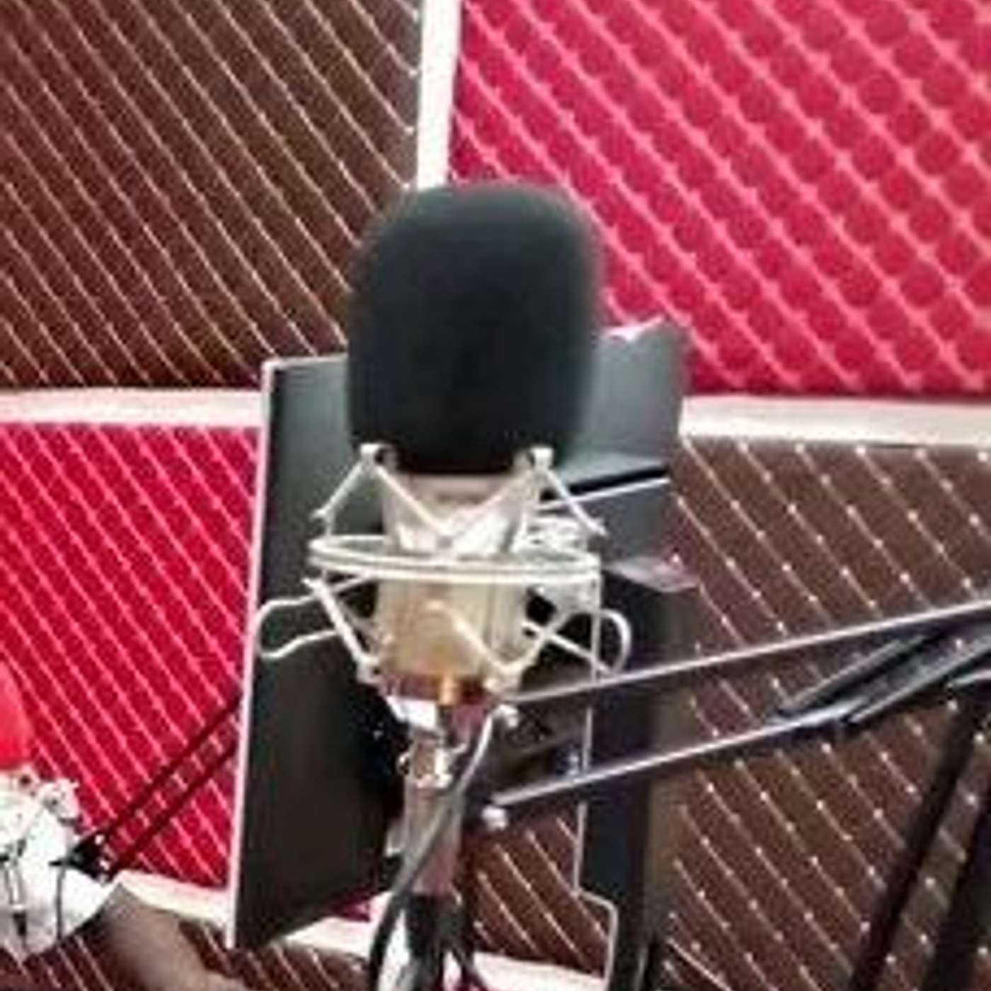 ALm_Digital podcast