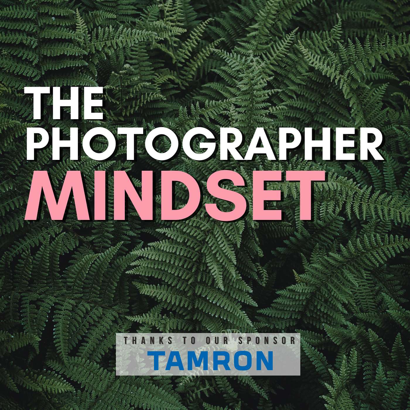 The Photographer Mindset
