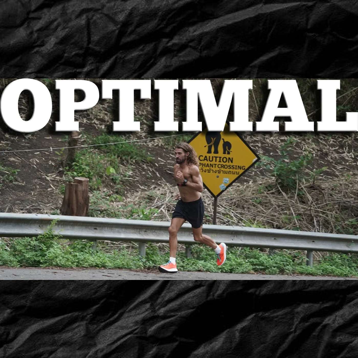 Optimal Training Structure: Twice a Week vs. Three Times a Week