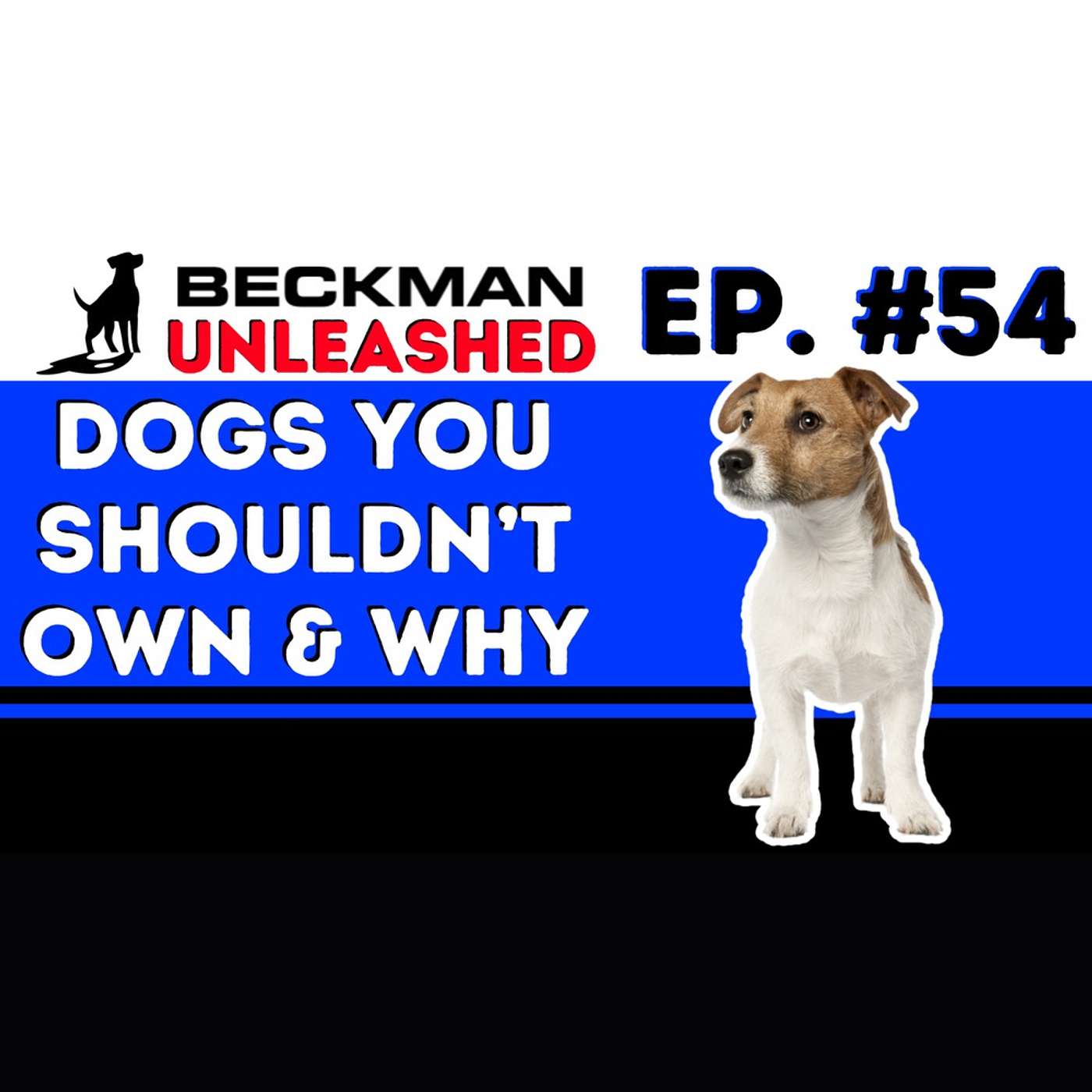 Ep. 54 - How to Avoid Choosing the Wrong Dog for your Home