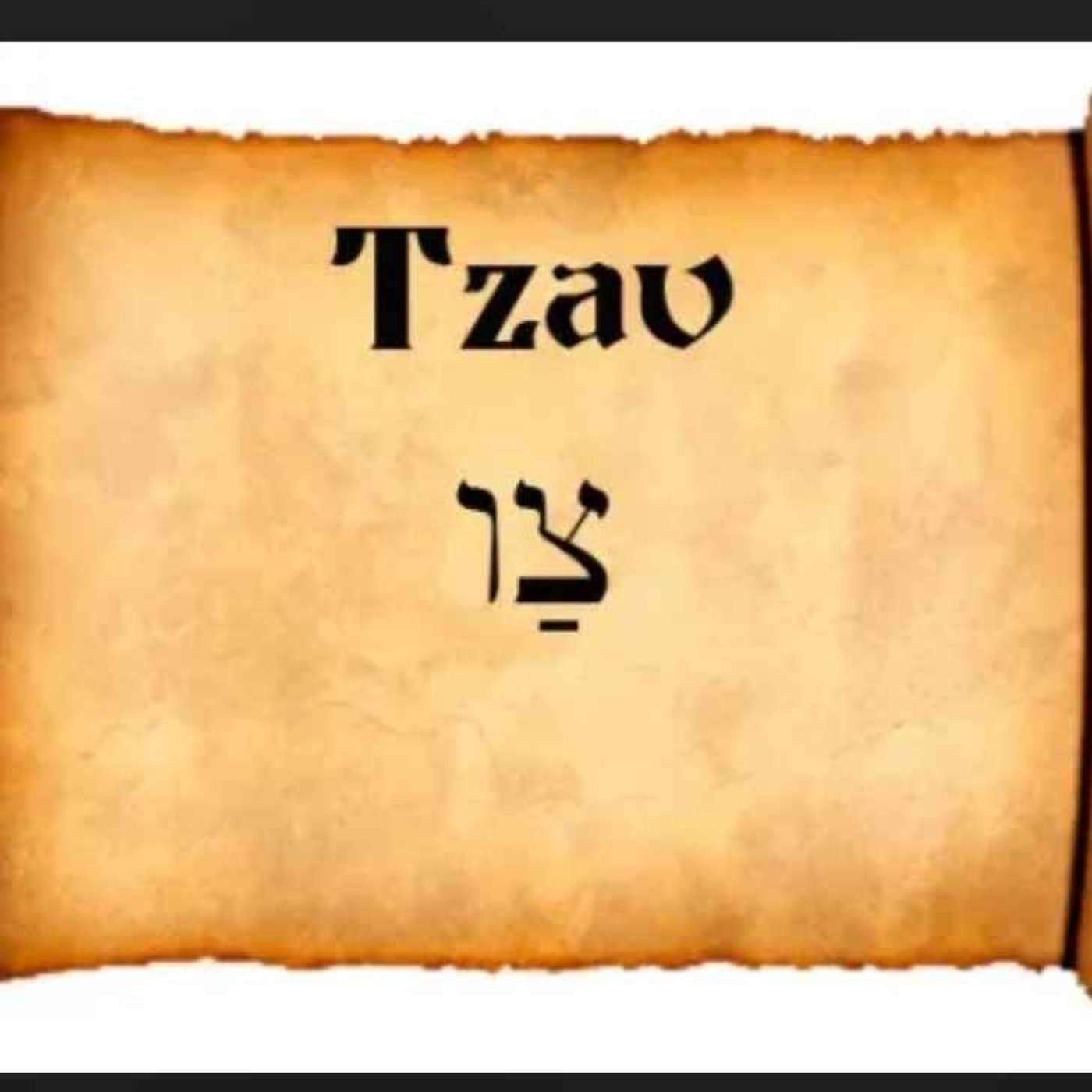 Tzav: Leviticus 6:1-8:36