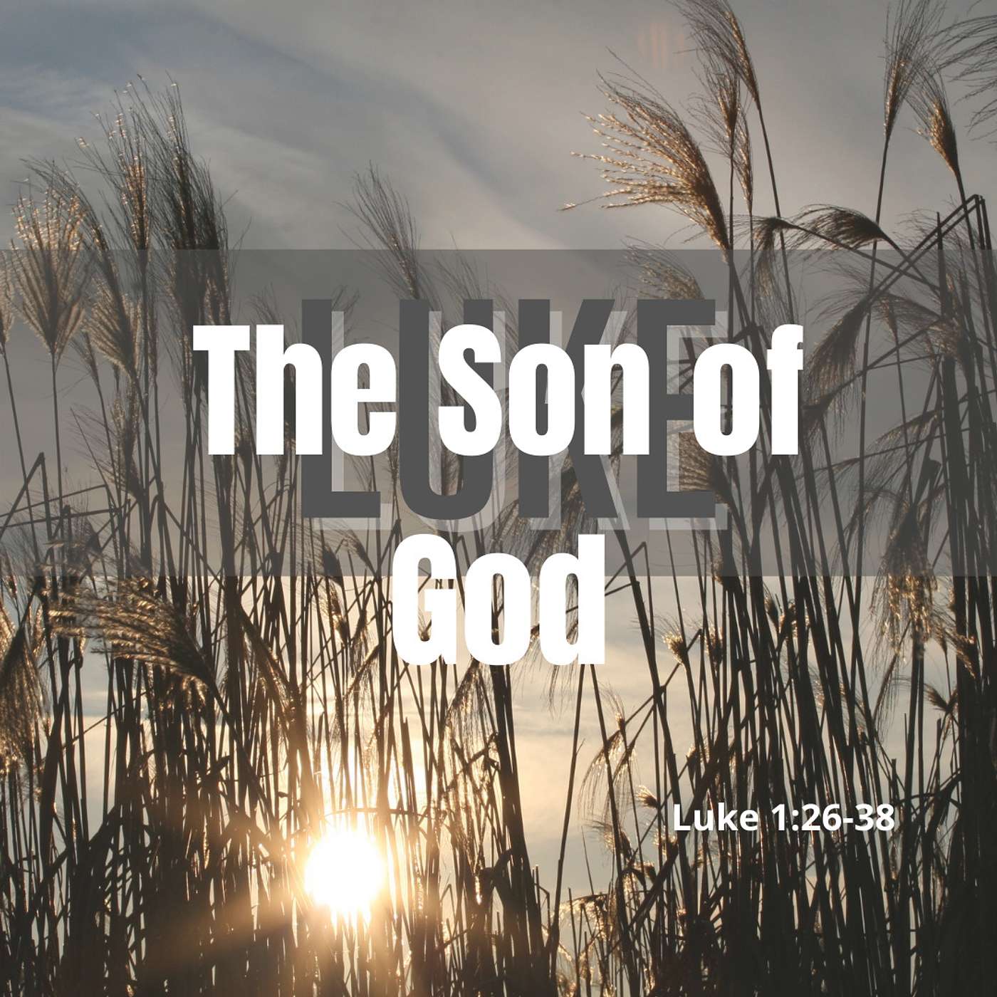 The Son of God