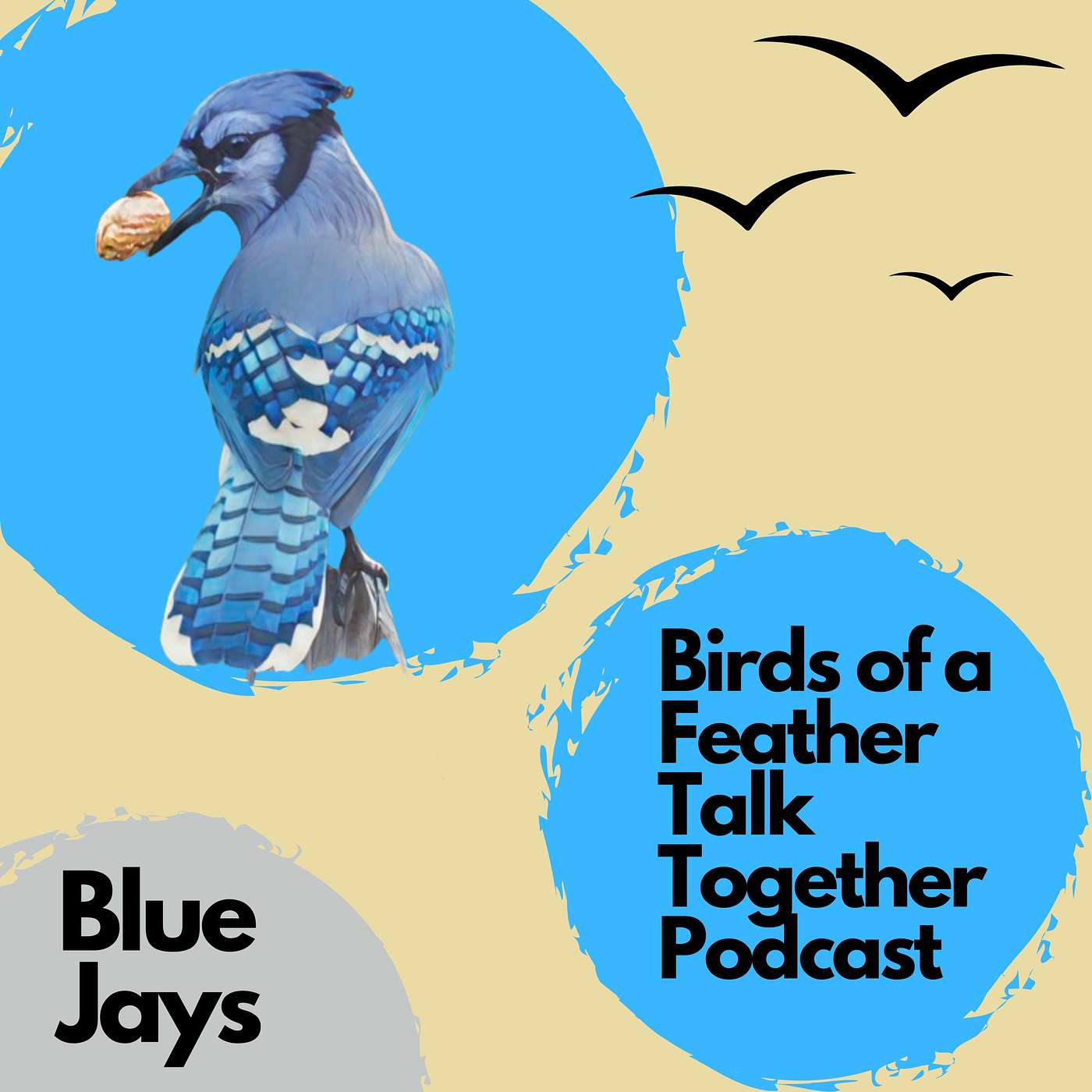 Birds of a Feather Talk Together