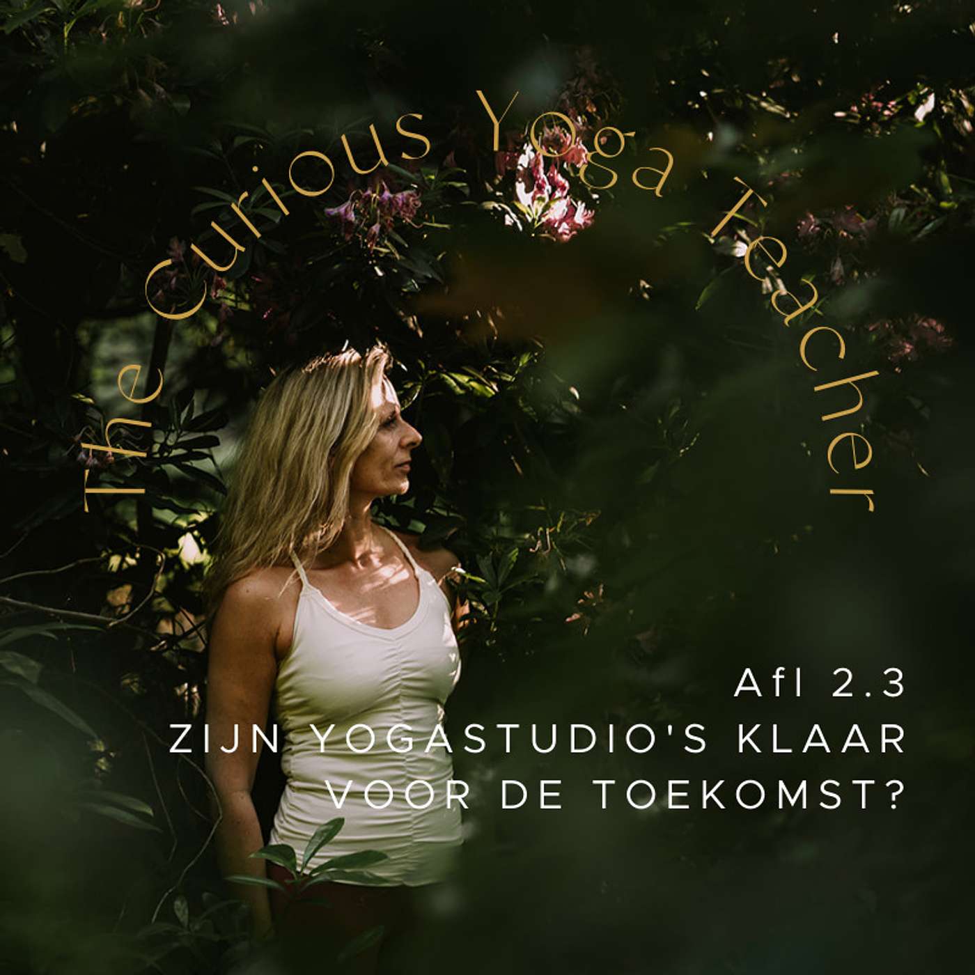 The Curious Yoga Teacher