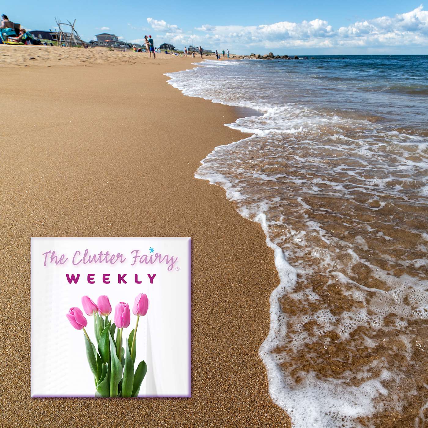The Clutter Fairy Weekly