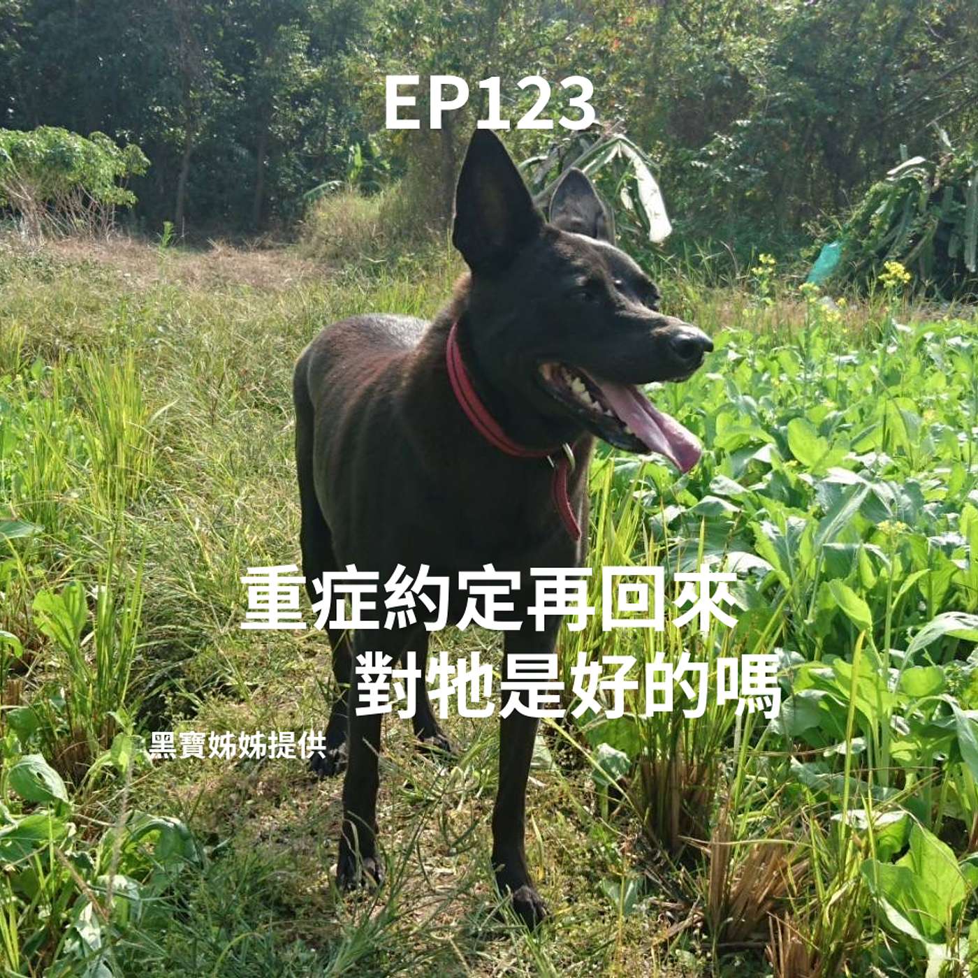 EP123 約定再回來，真的對祂好嗎？還會是原來的祂嗎？ episode artwork