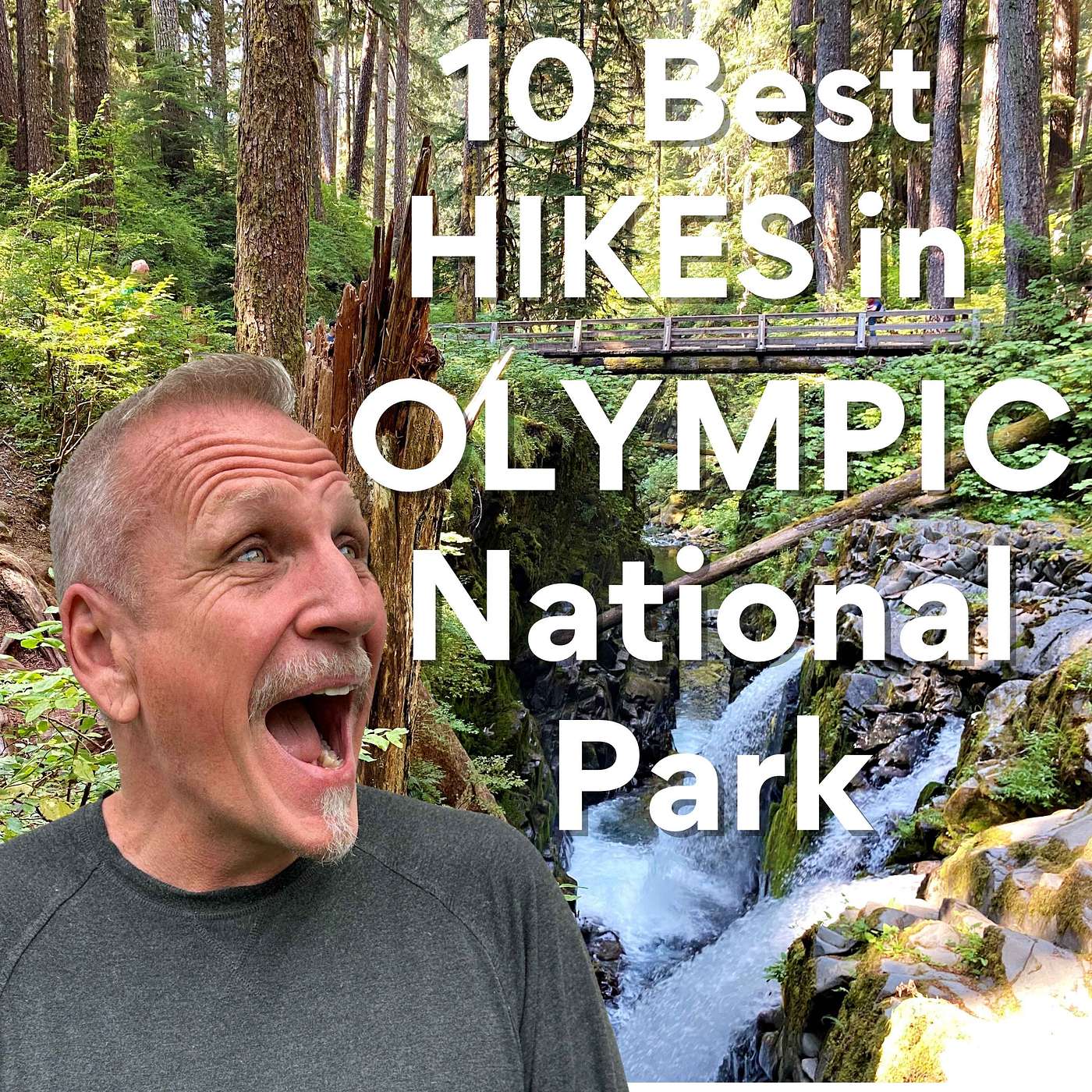 The 10 Best Hikes in Olympic National Park You Must Do