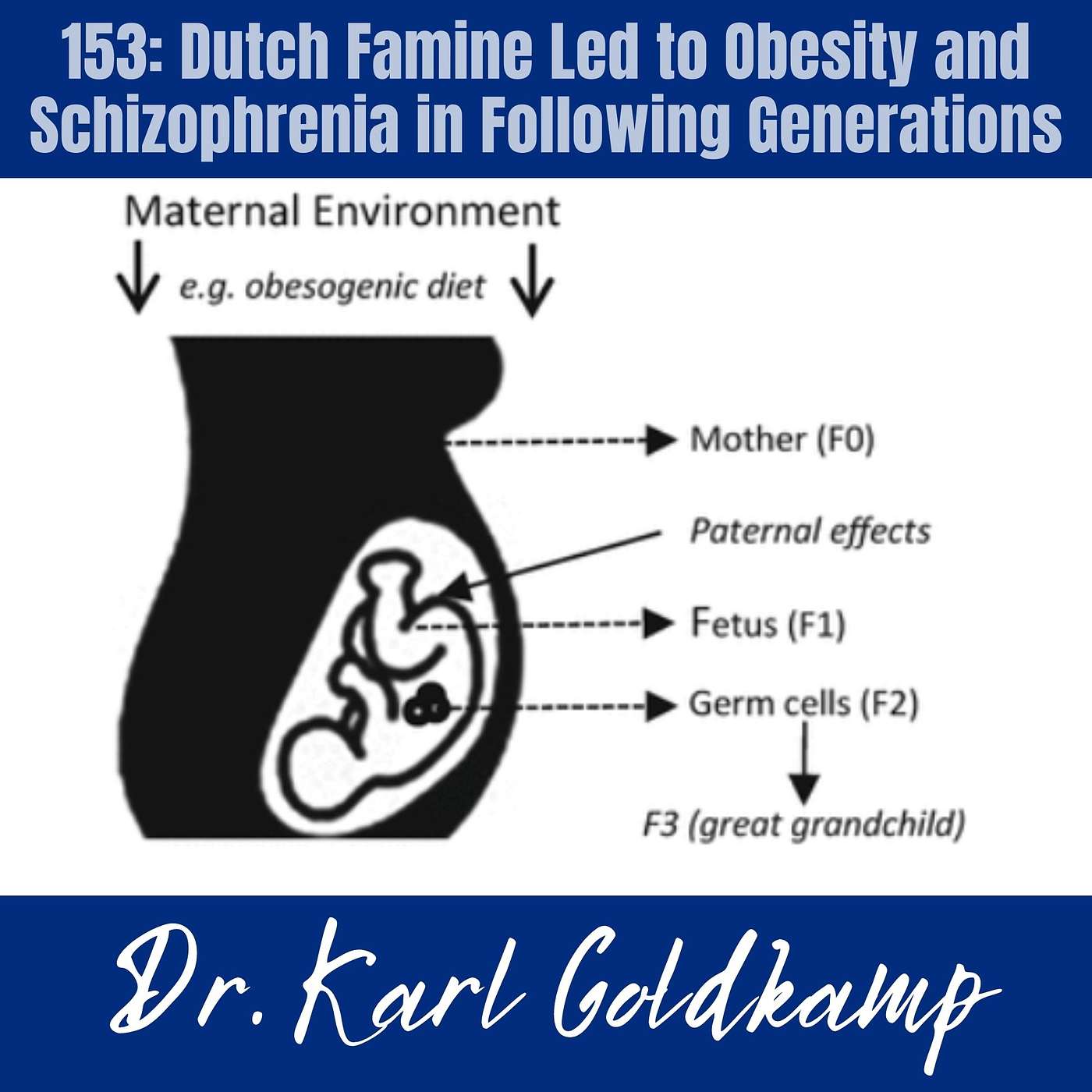 153: Dutch Famine Led to Obesity and Schizophrenia in Following Generations episode artwork