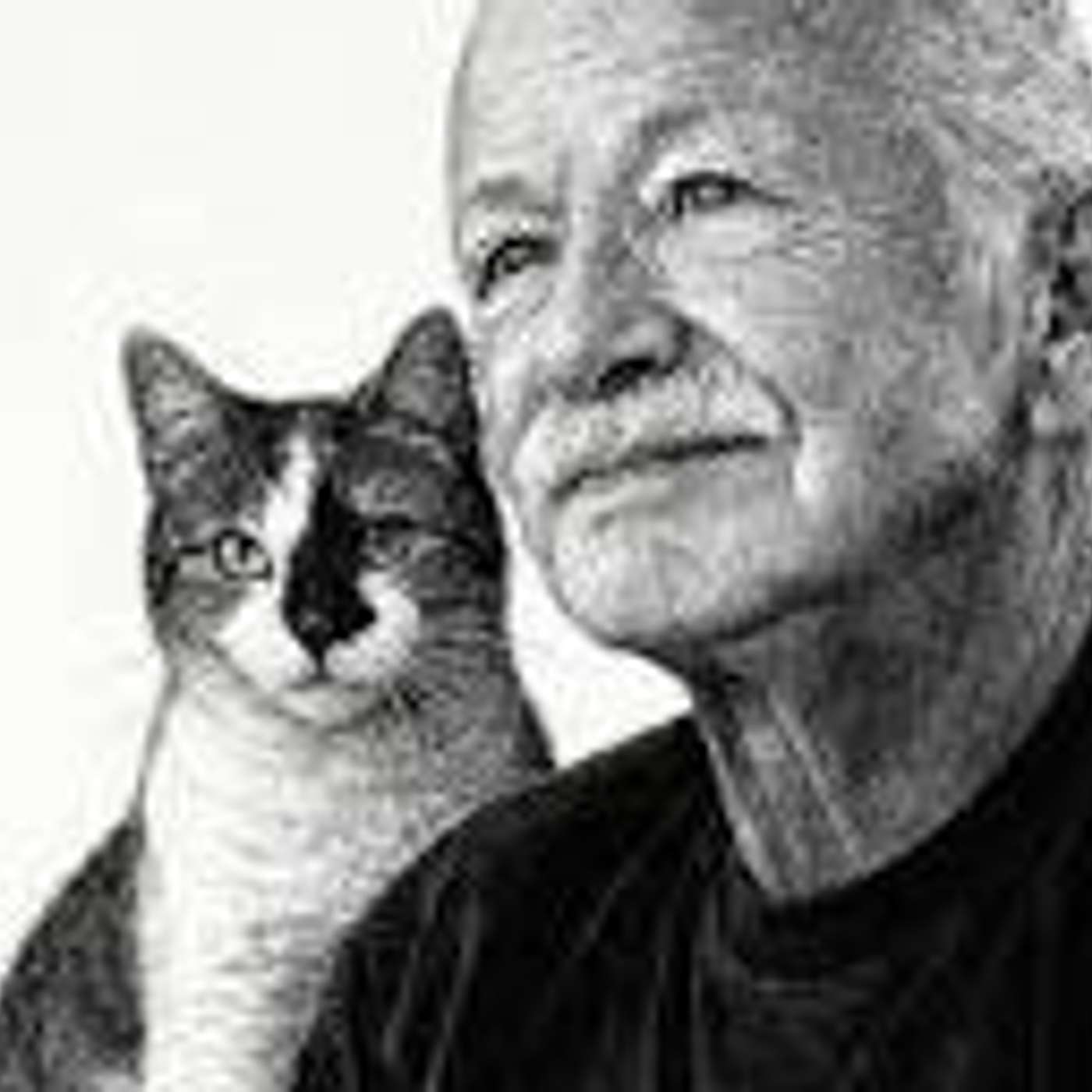 Omaggio a Gino Paoli: I gatti siamesi episode artwork