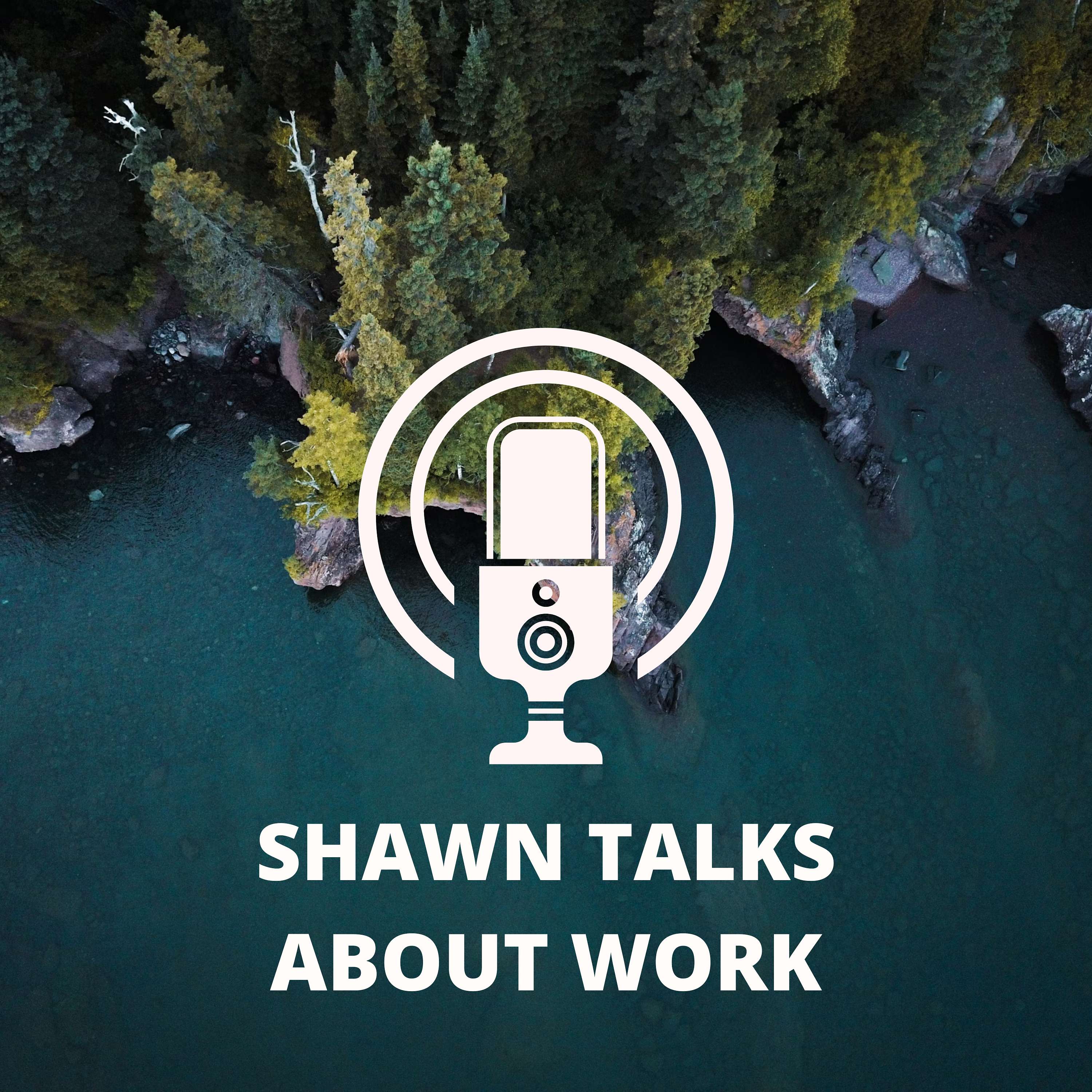Shawn Talks About Work