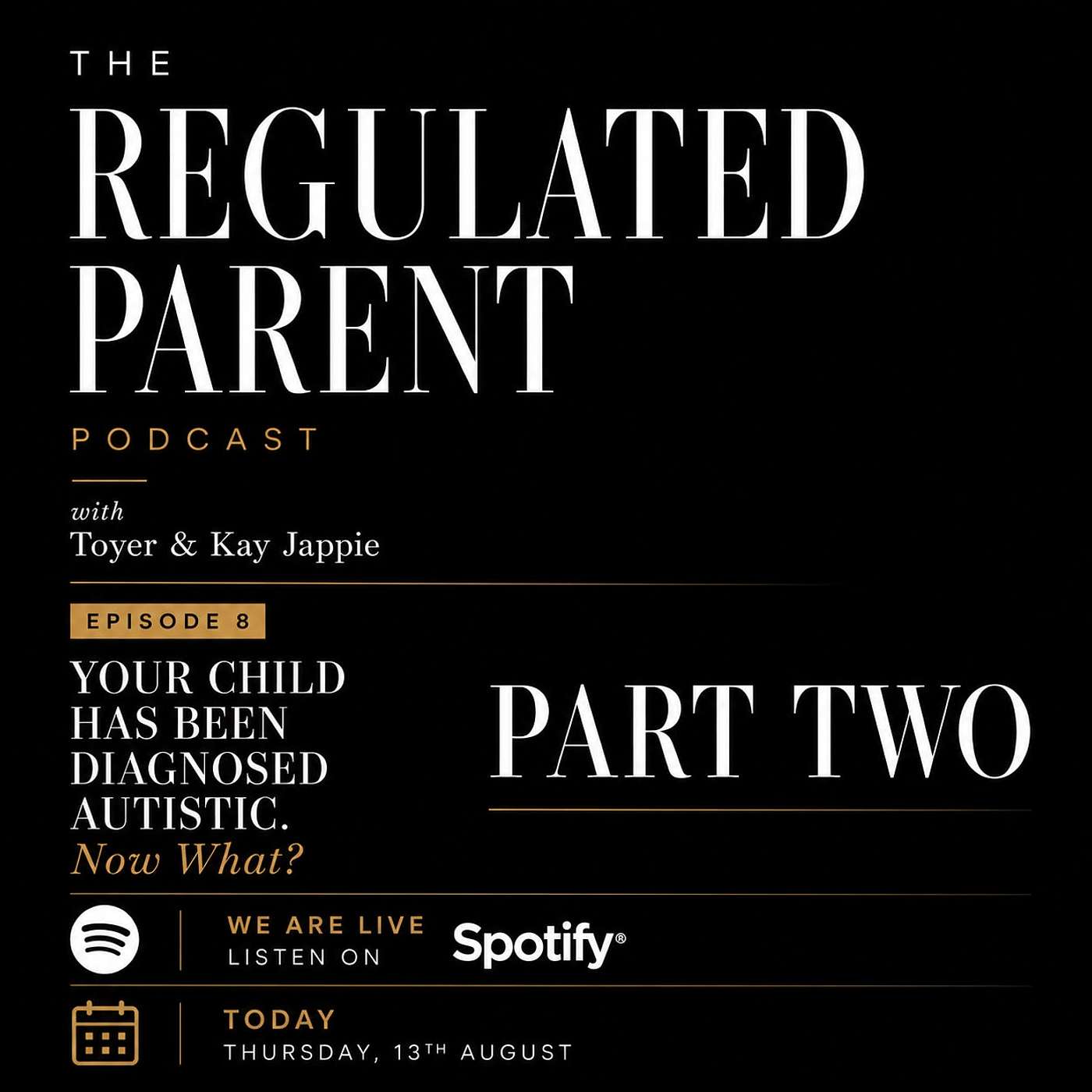 Your Child has been Diagnosed Autistic - Now What : Part 2 episode artwork