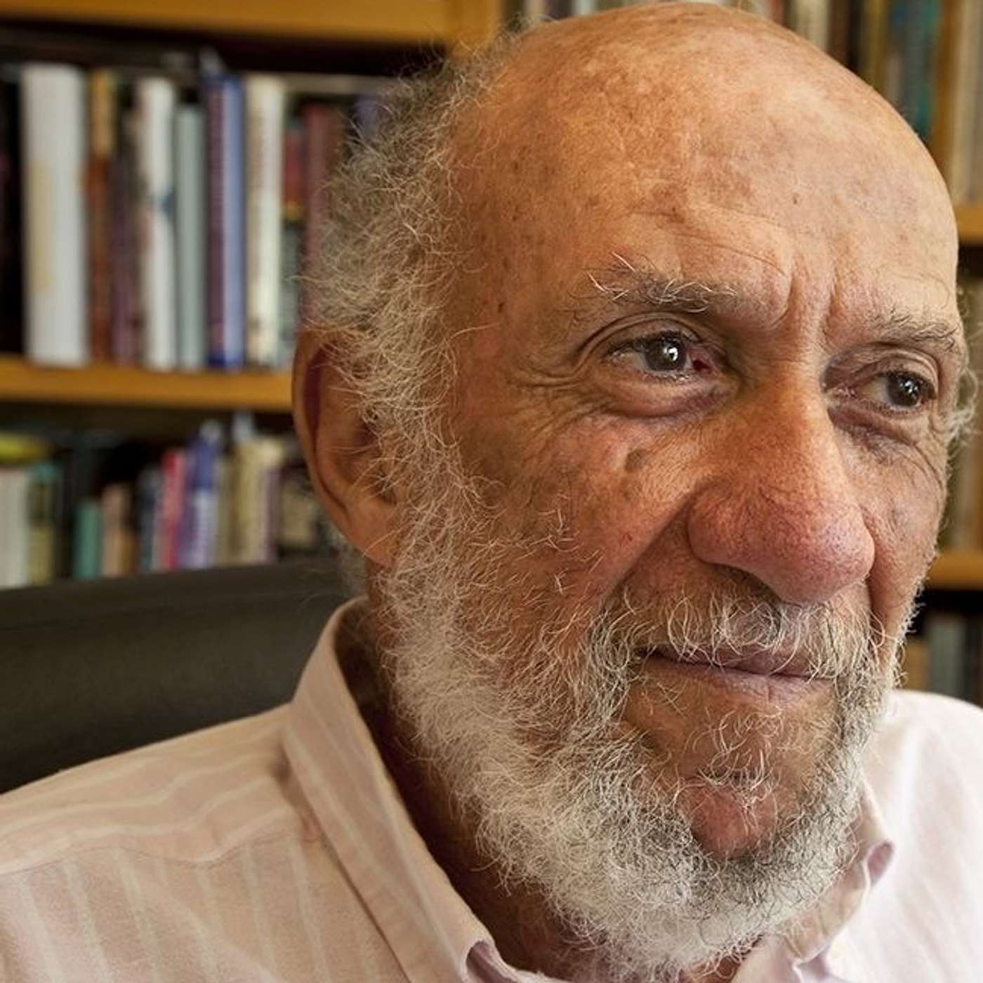 Richard Falk on Pres. Erdogan's inauguration and Turkish domestic politics episode artwork