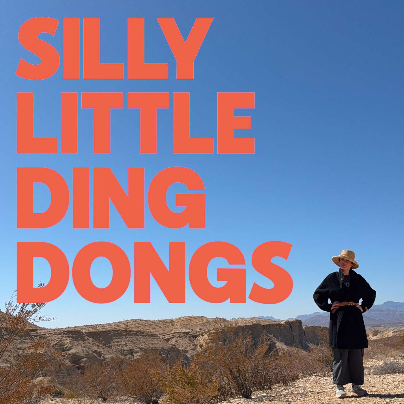 Silly little ding dongs