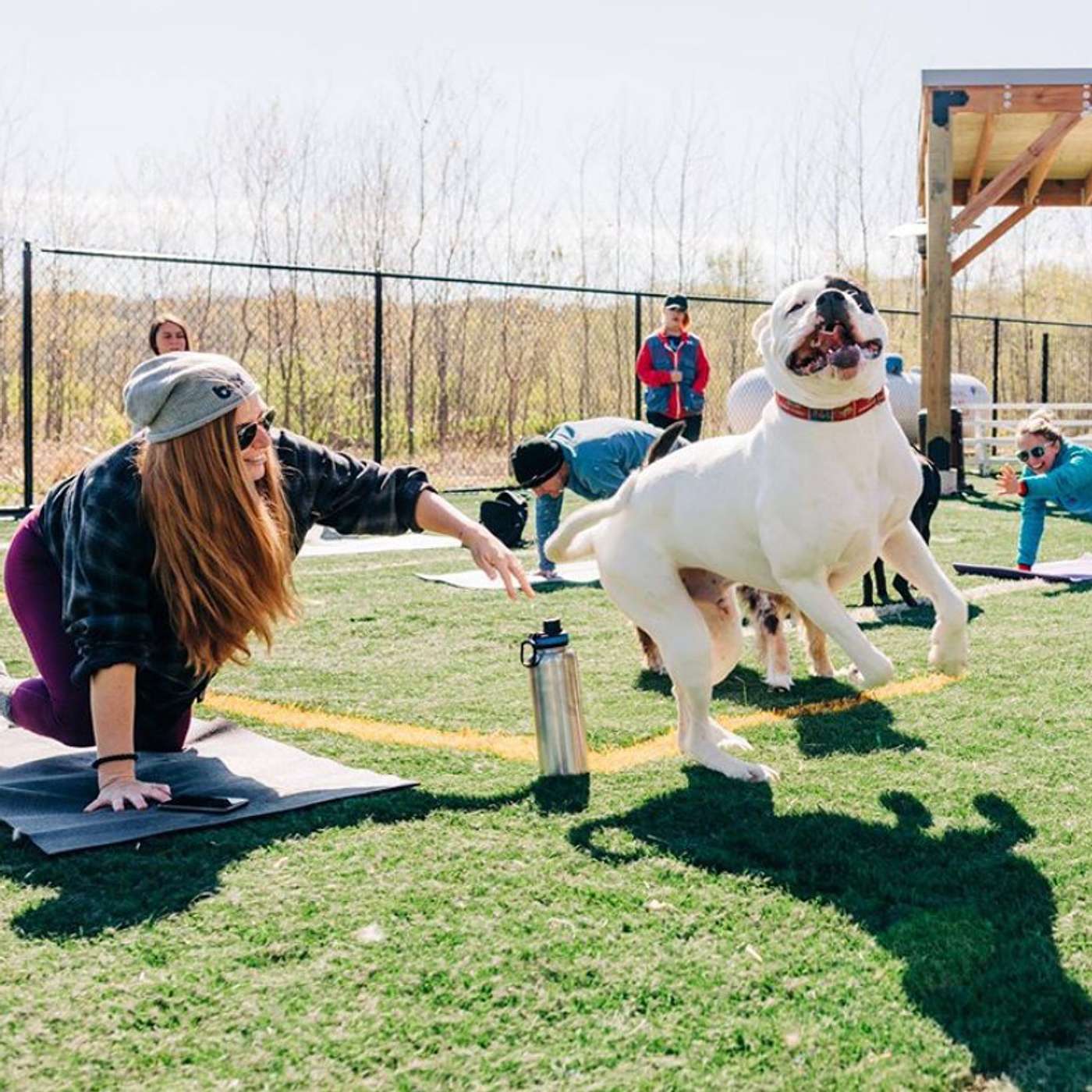 0107: Dogs + Yoga = Doga with Jesse Shroyer