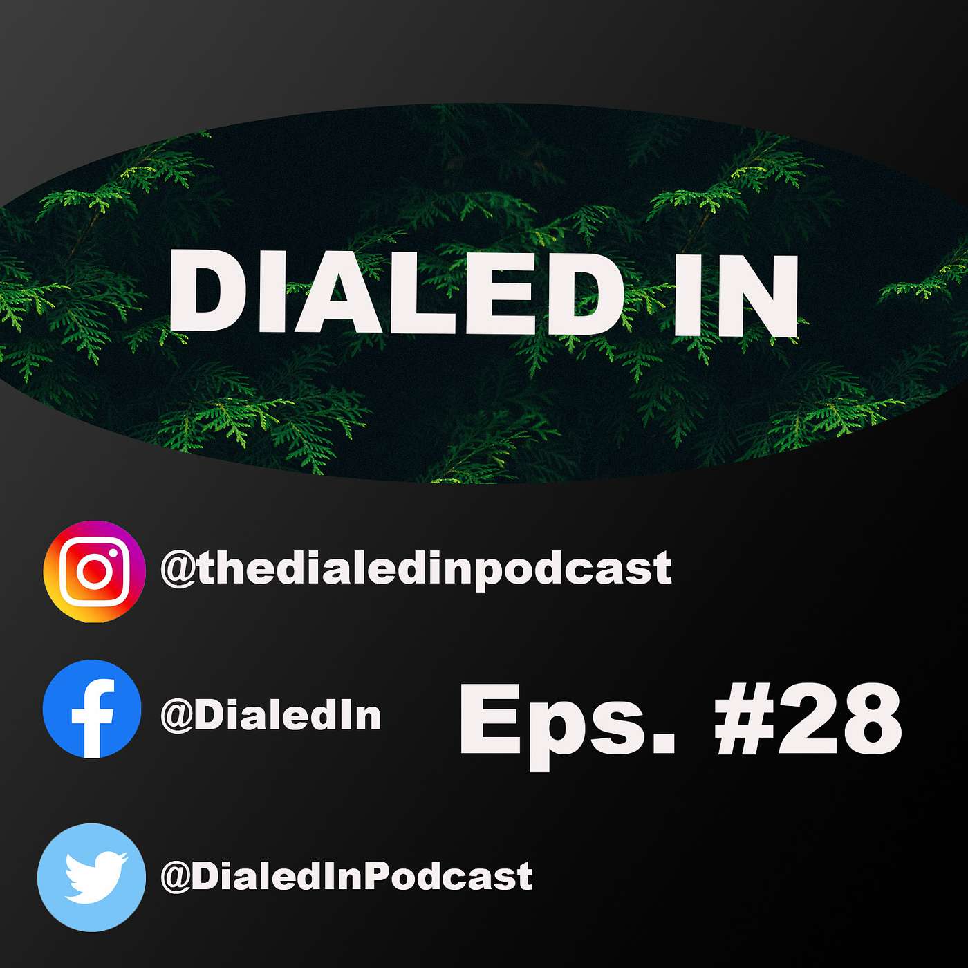 TheDialedInPodcast
