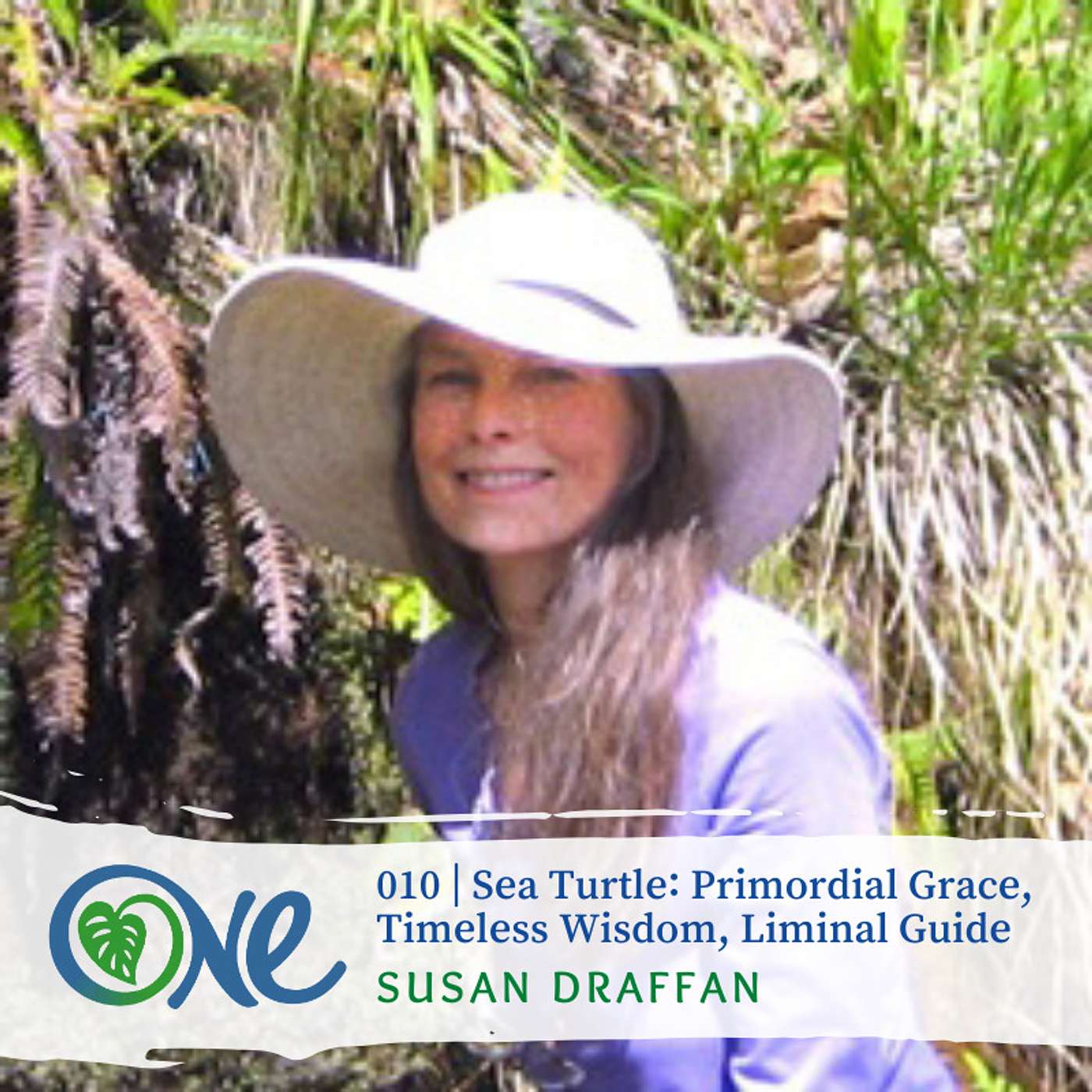 Sea Turtle: Primordial Grace, Timeless Wisdom, Liminal Guide with Susan Draffan