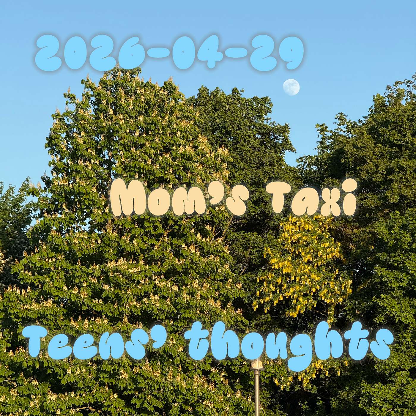 April 29th Watch the Movie or Not episode artwork