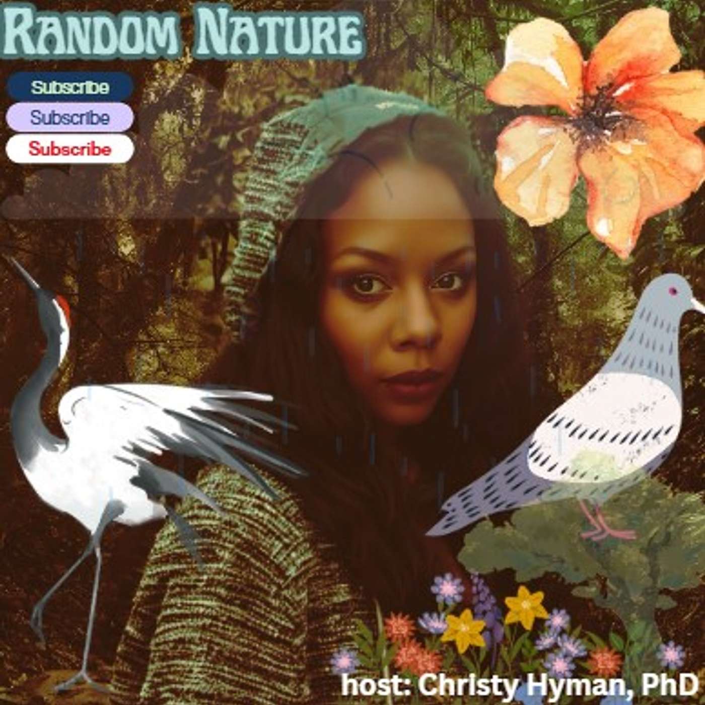 Random Nature