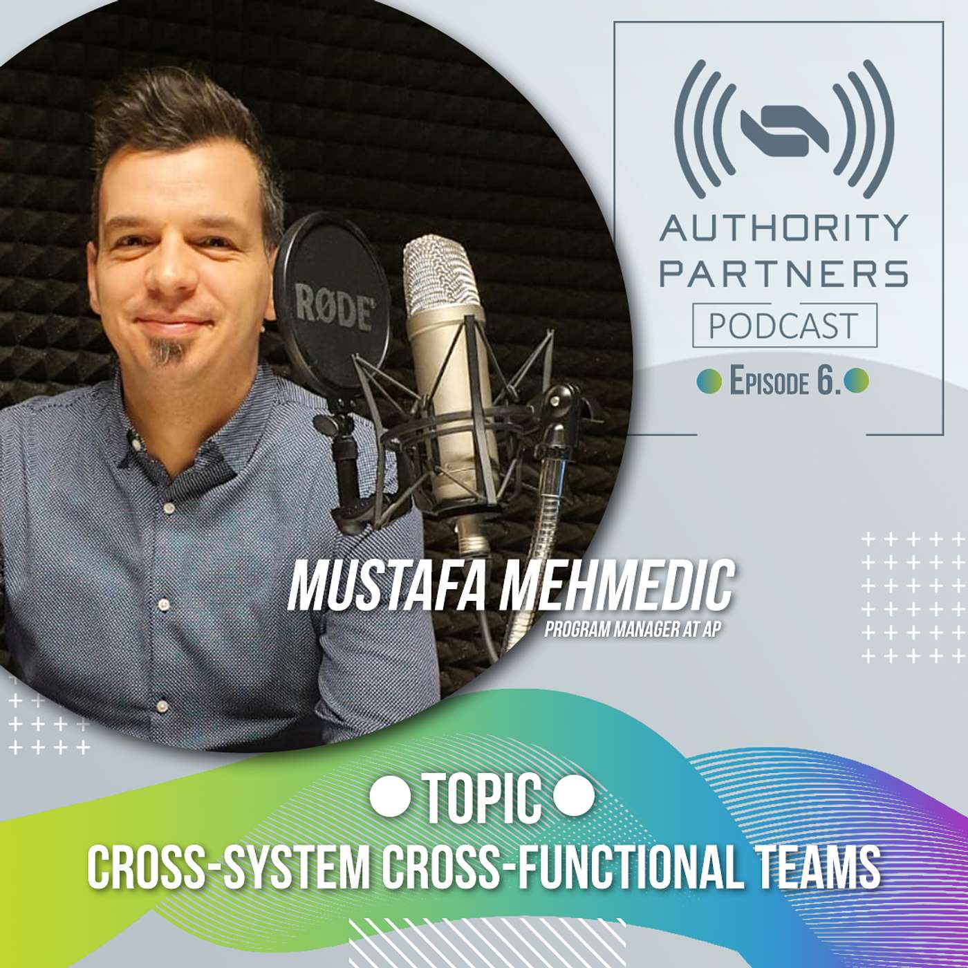 Mustafa Mehmedic, Topic: ‘Cross-System Cross-Functional teams’