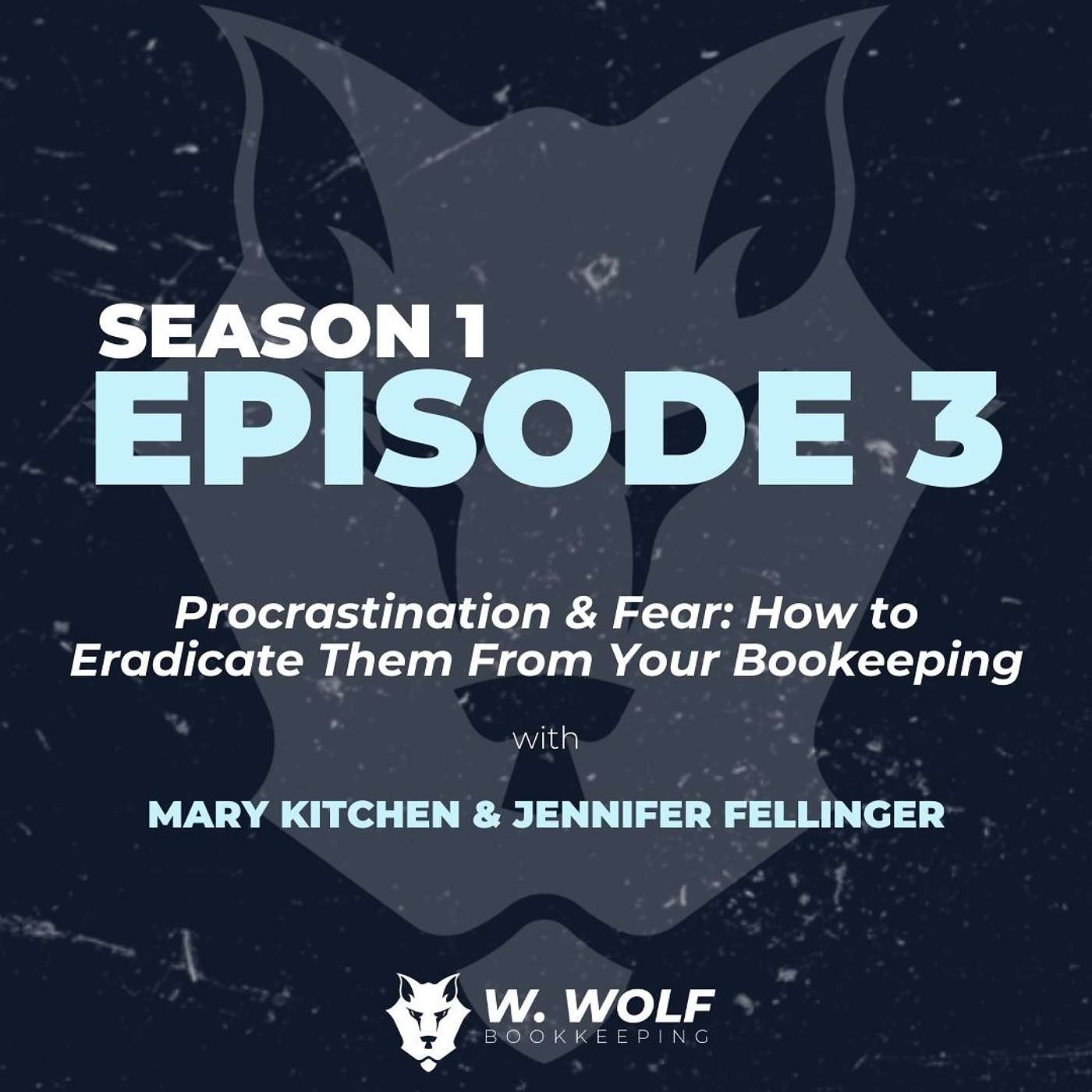 Procrastination & Fear: How to Eradicate Them From Your Bookkeeping episode artwork