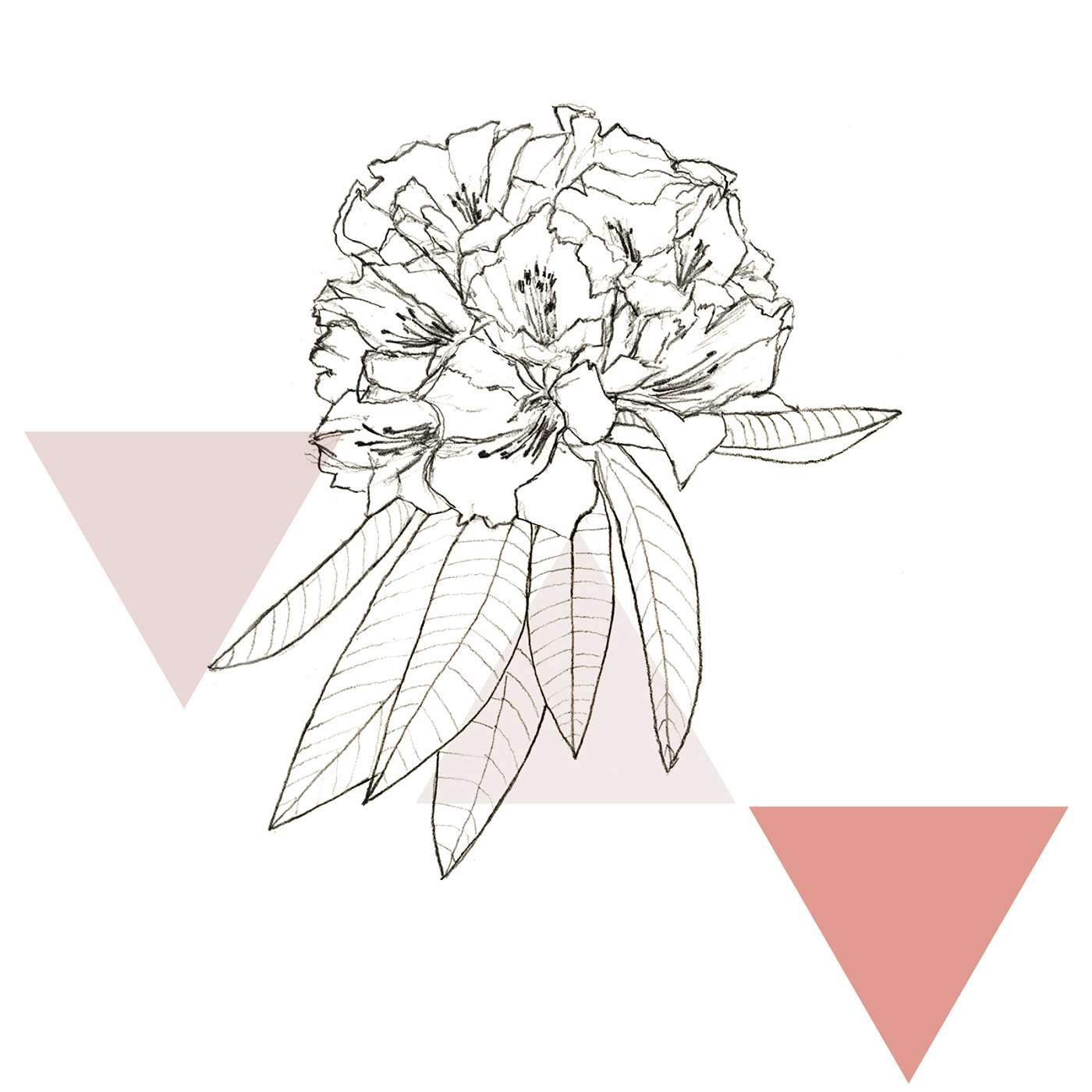 Gratitude Blooming Podcast