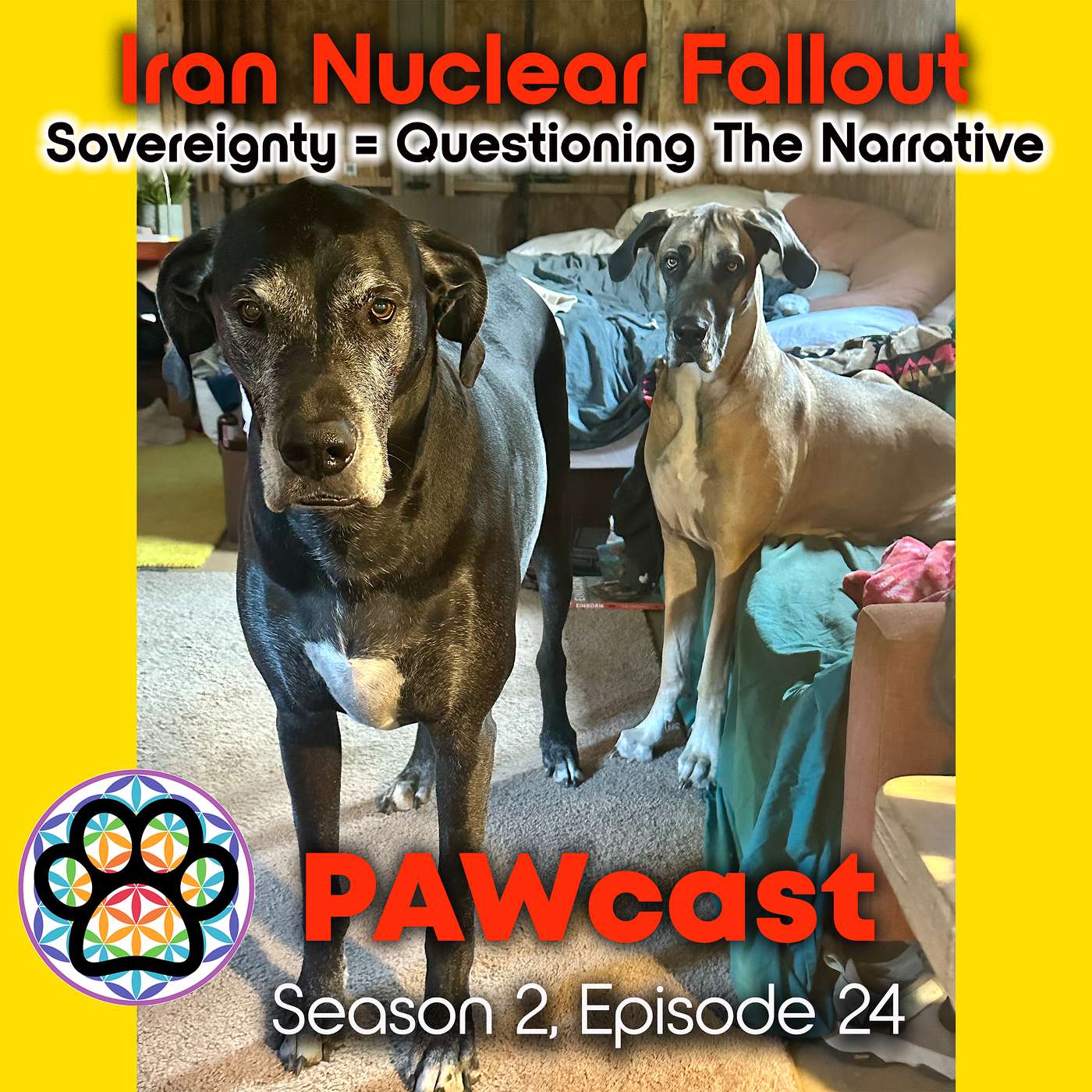 Iran Nuclear Bombing - Fallout? Question the Narrative episode artwork