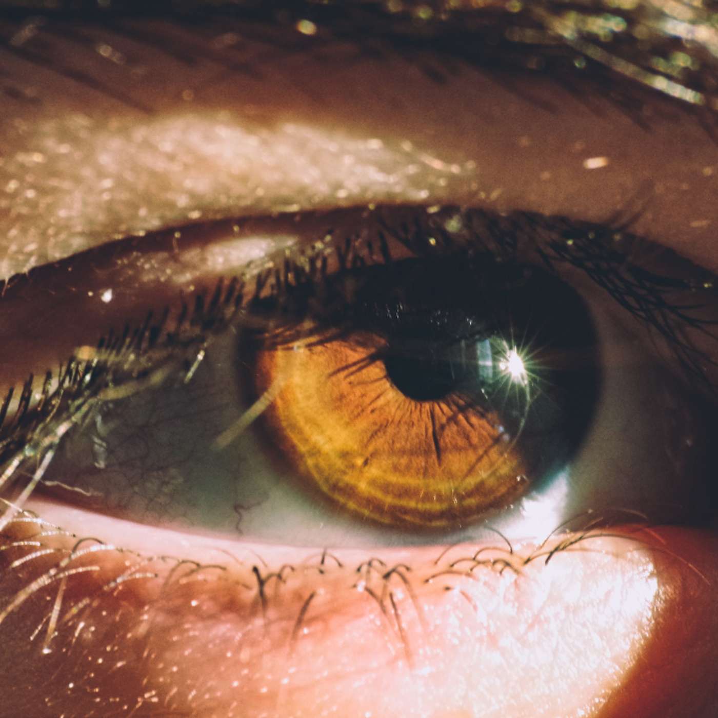 3.15.26 - Who sinned?