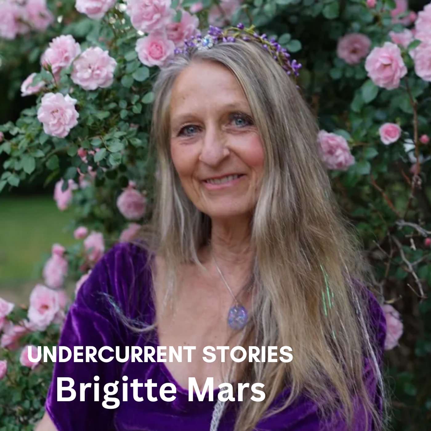 The 45 Minute Guide to Natural Remedies for a Happy and Healthy Mind: Brigitte Mars