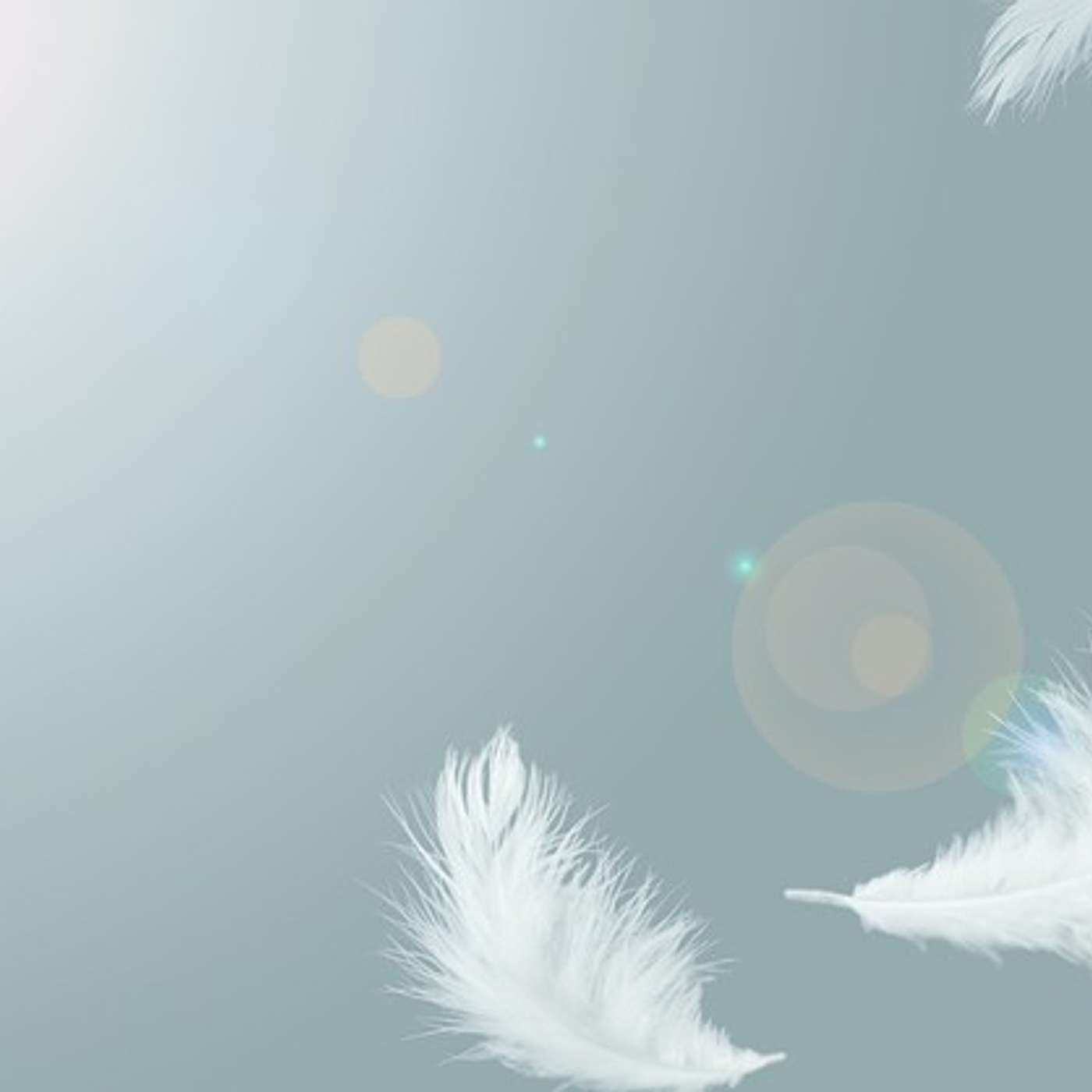 How to get what you want: Let Go. You need to know this information!