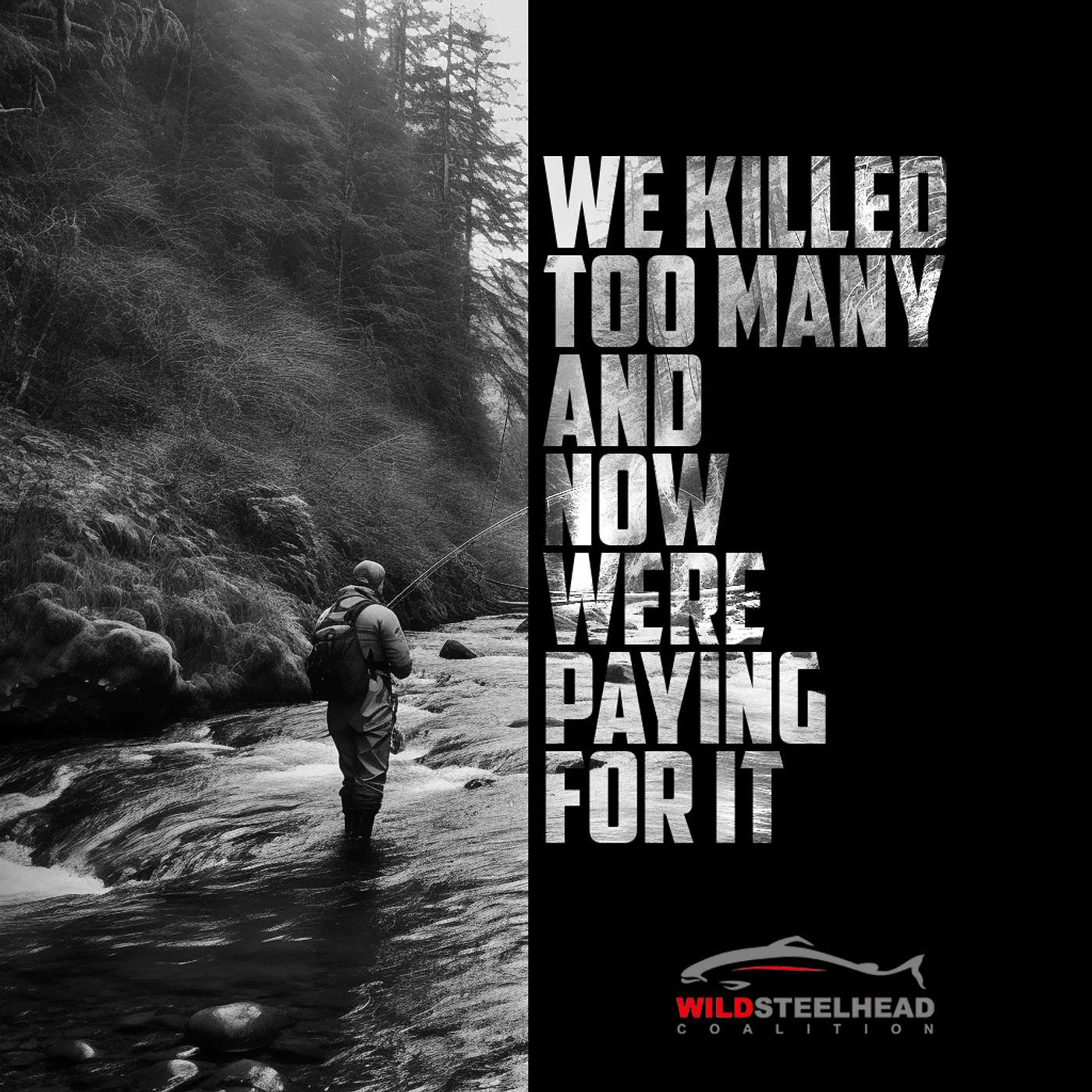 Make Steelhead Country Great Again