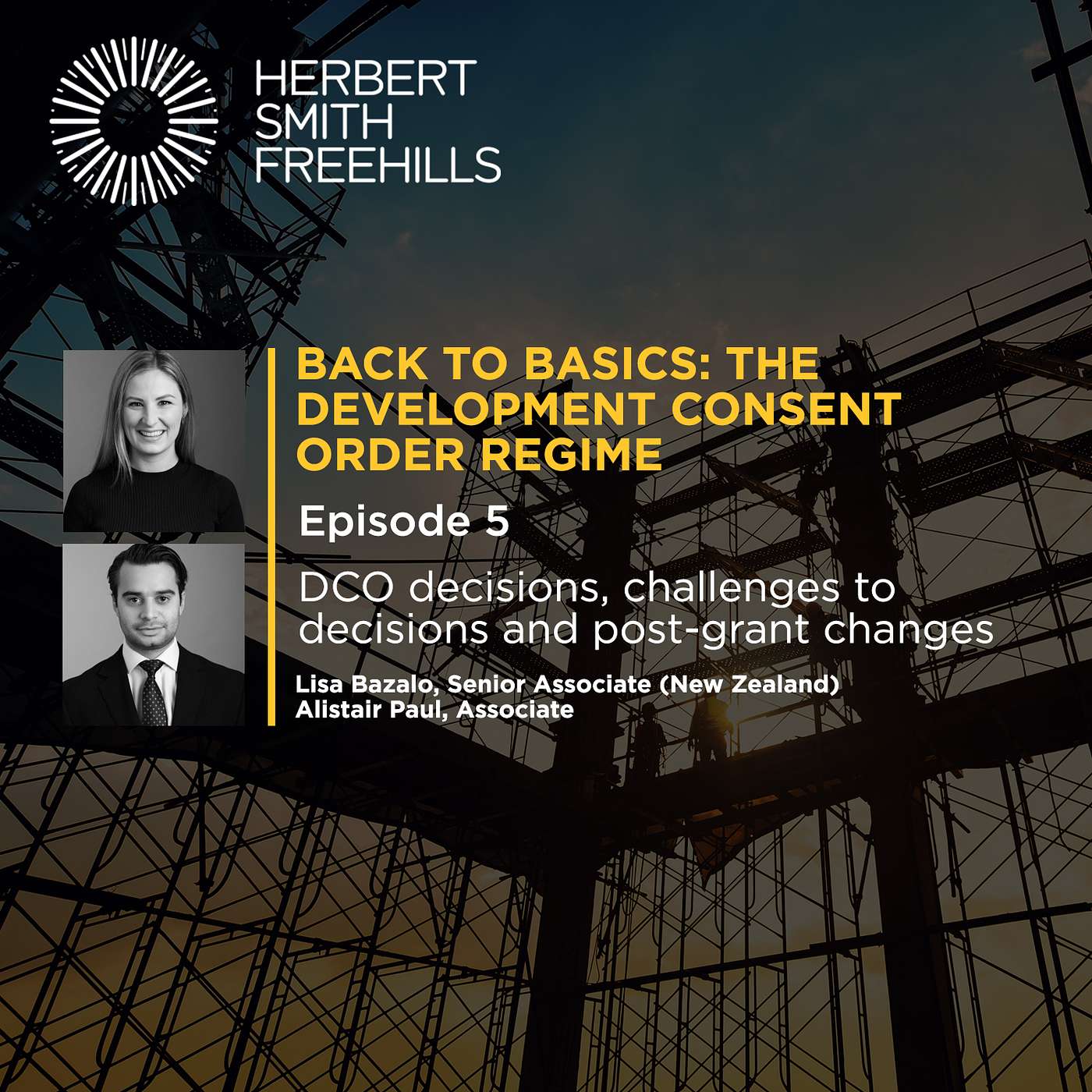 Back To Basics Podcast EP5: DCO decisions, challenges to decisions and post-grant changes episode artwork