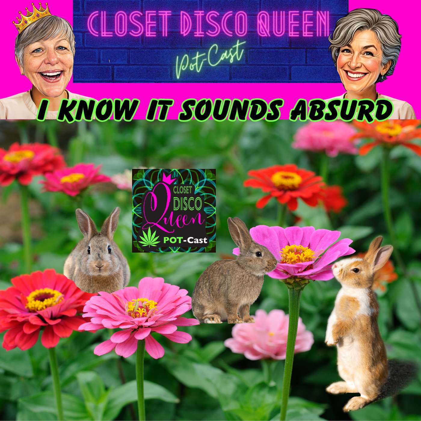 Midlife Cannabis, Confidence & Real Talk for Women | I Know It Sounds Absurd episode artwork