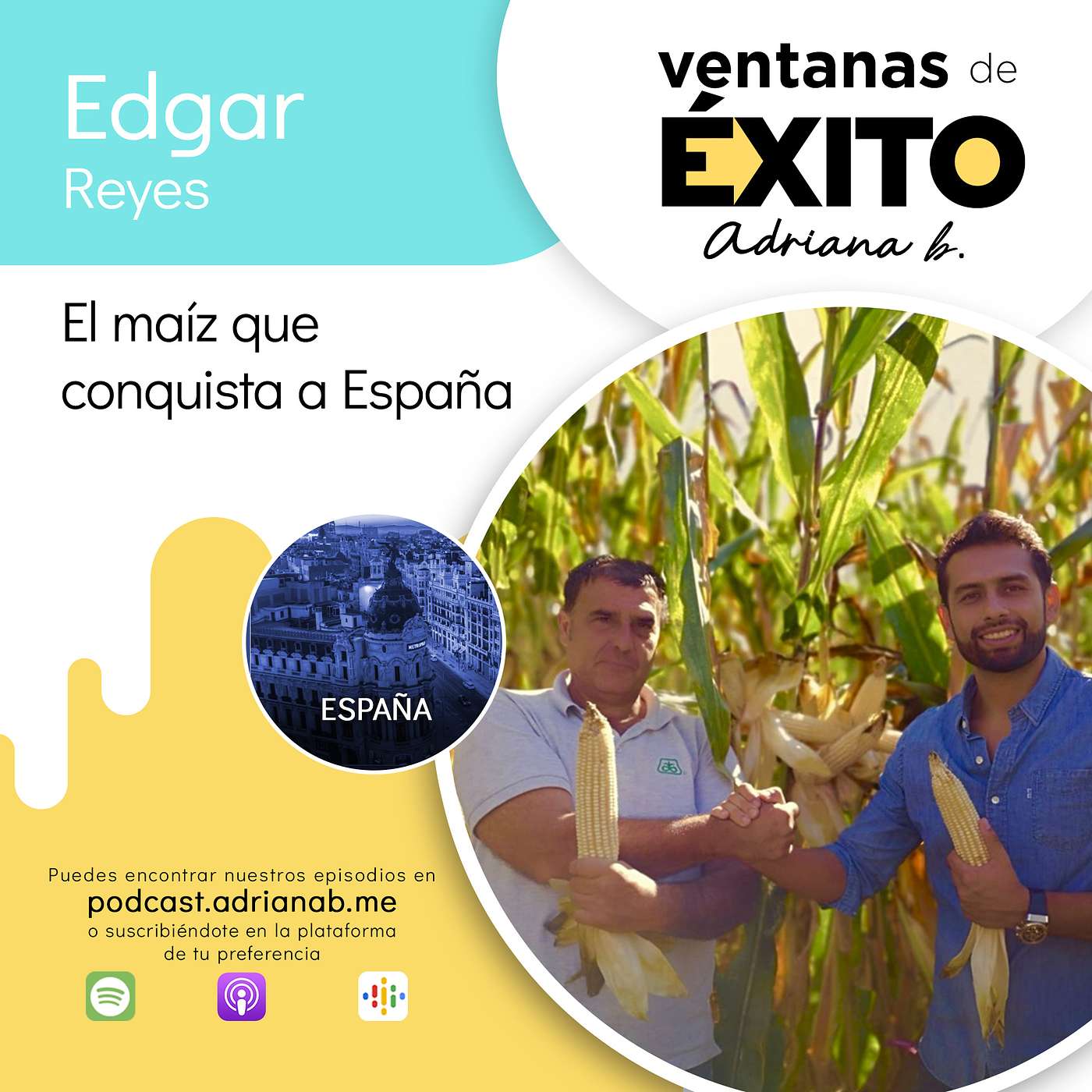 Ventanas de Éxito