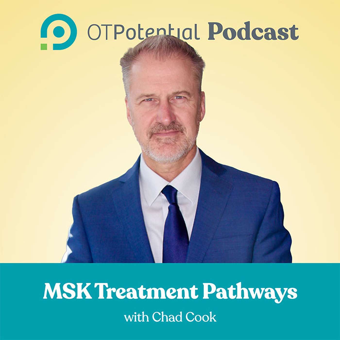 #148 Musculoskeletal Treatment Pathways with Chad Cook episode artwork