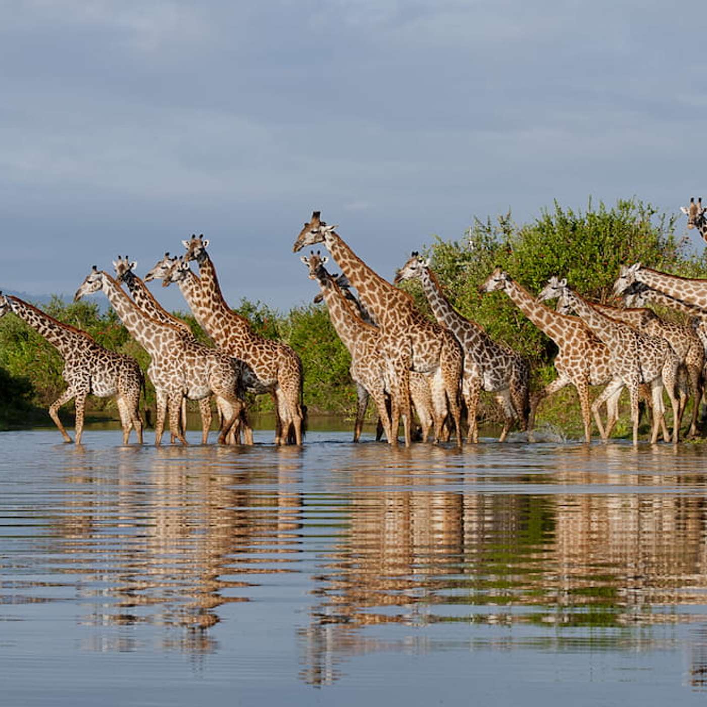 Nyerere National Park: Africa's Premier Wilderness Destination