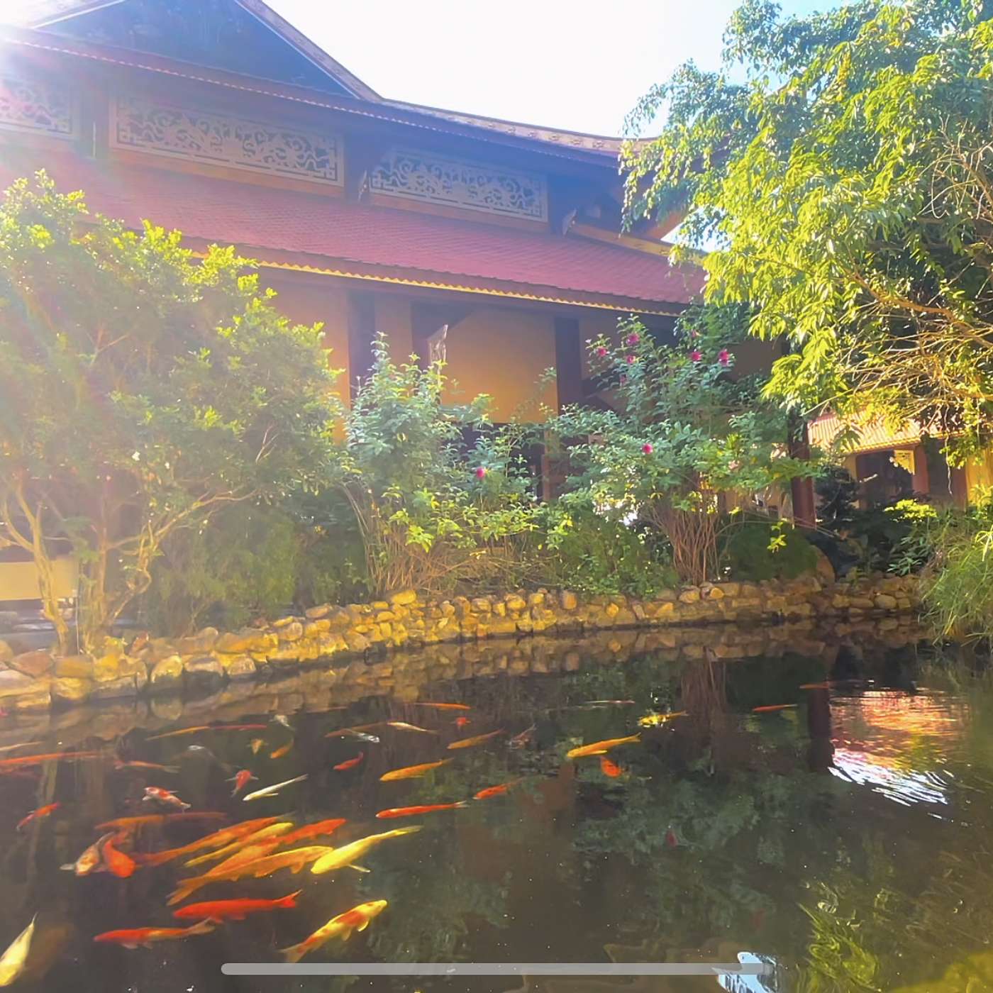 Tập 78: Tự sửa mình trong trading episode artwork