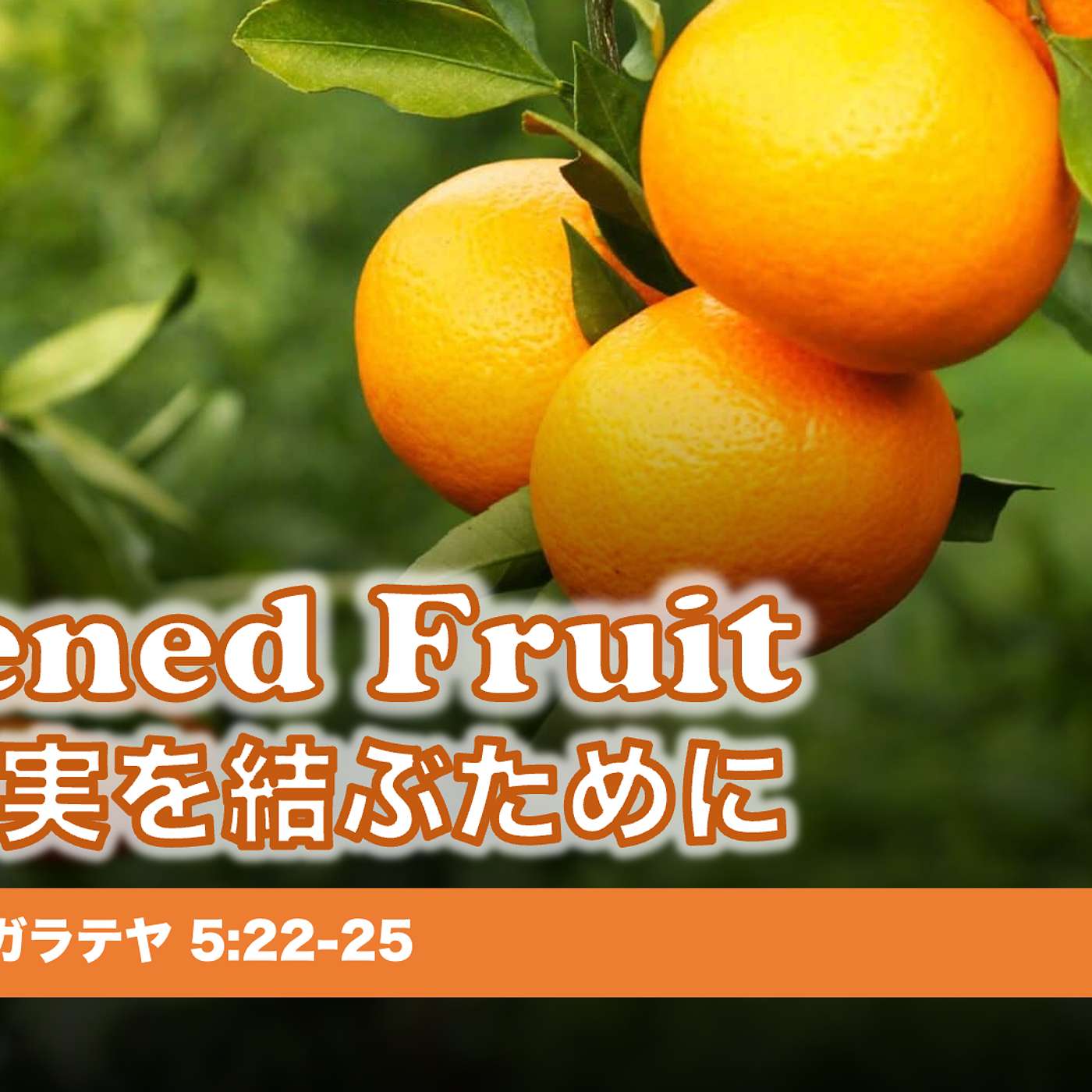 Ripened Fruit 豊かな実を結ぶために Ripened Fruit 豊かな実を結ぶために